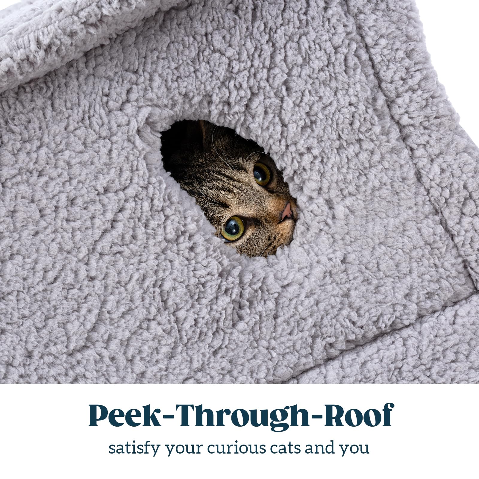 Pelzin Cat Houses For Indoor Cats - Large Cat Cave Bed With Removable Support Foam And Washable 2-Side Mat - Covered Cat Bed For