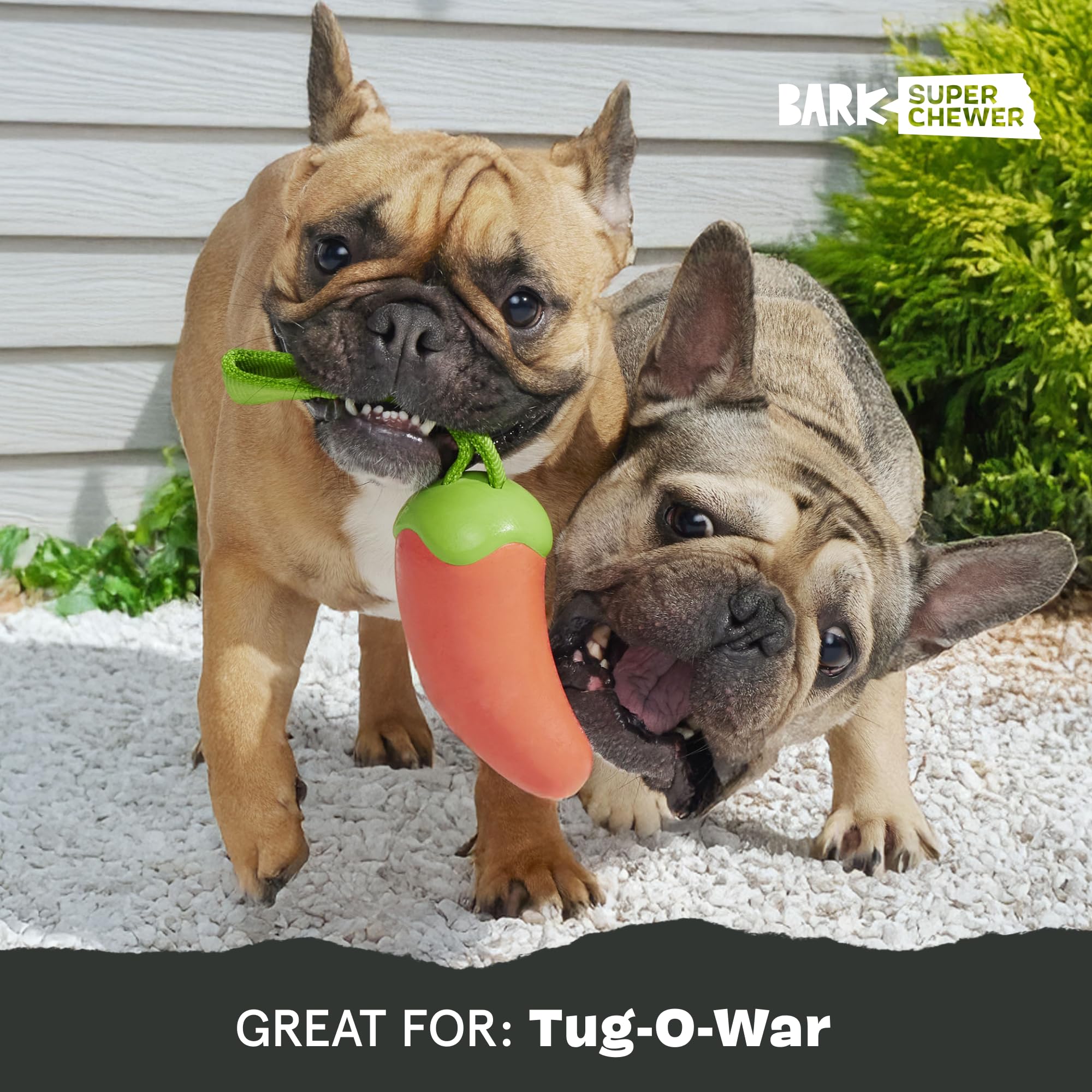 Barkbox Habanero Pupper Dog Toy For Medium Dogs Built For Aggressive Chewers, Who Love Tugging, Tossing And Thrashing Fun