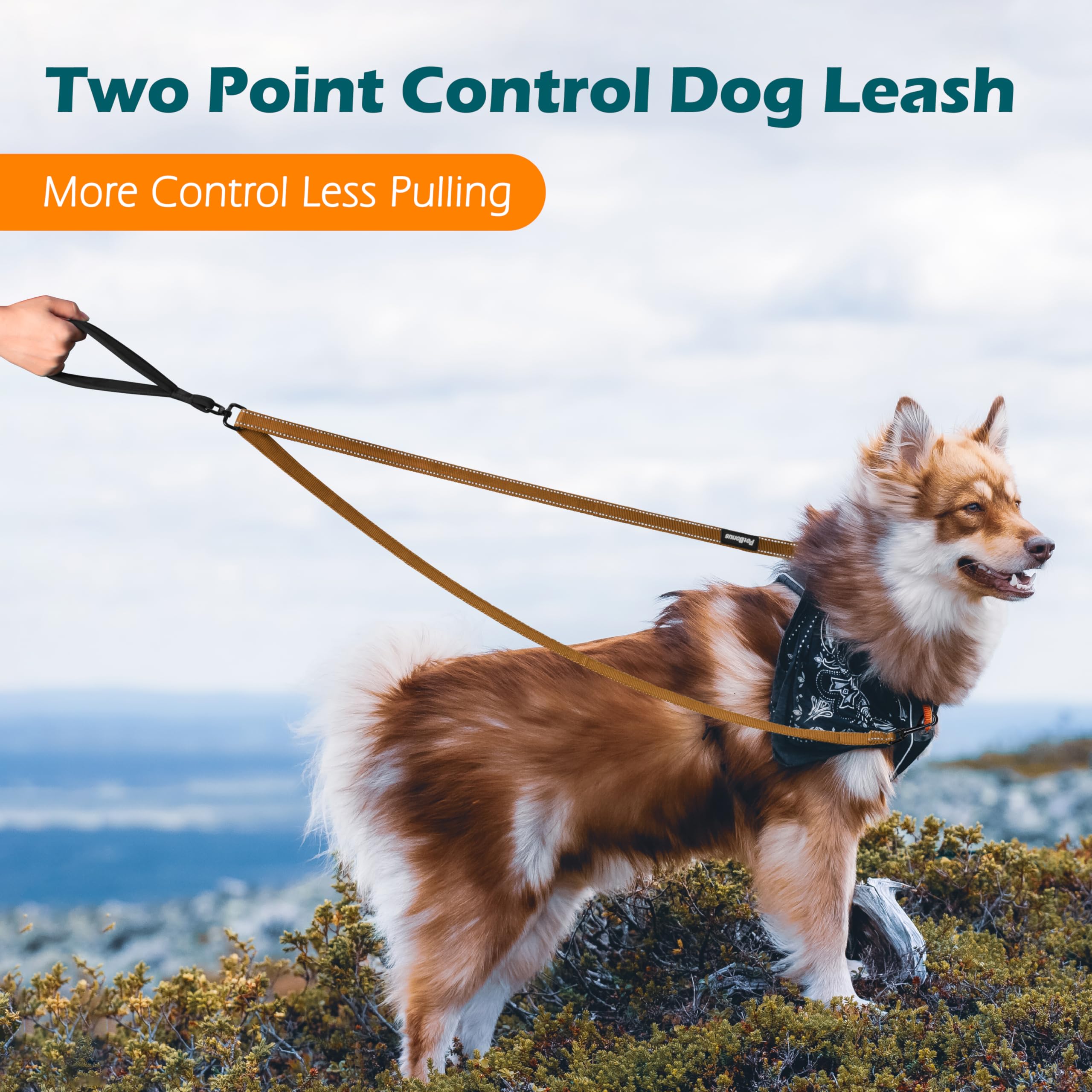 Petbonus Two Point Control Dog Leash, Works With No Pull Harnesses, No Tangle Dog Training Leashes, No Pull Padded And Reflectiv