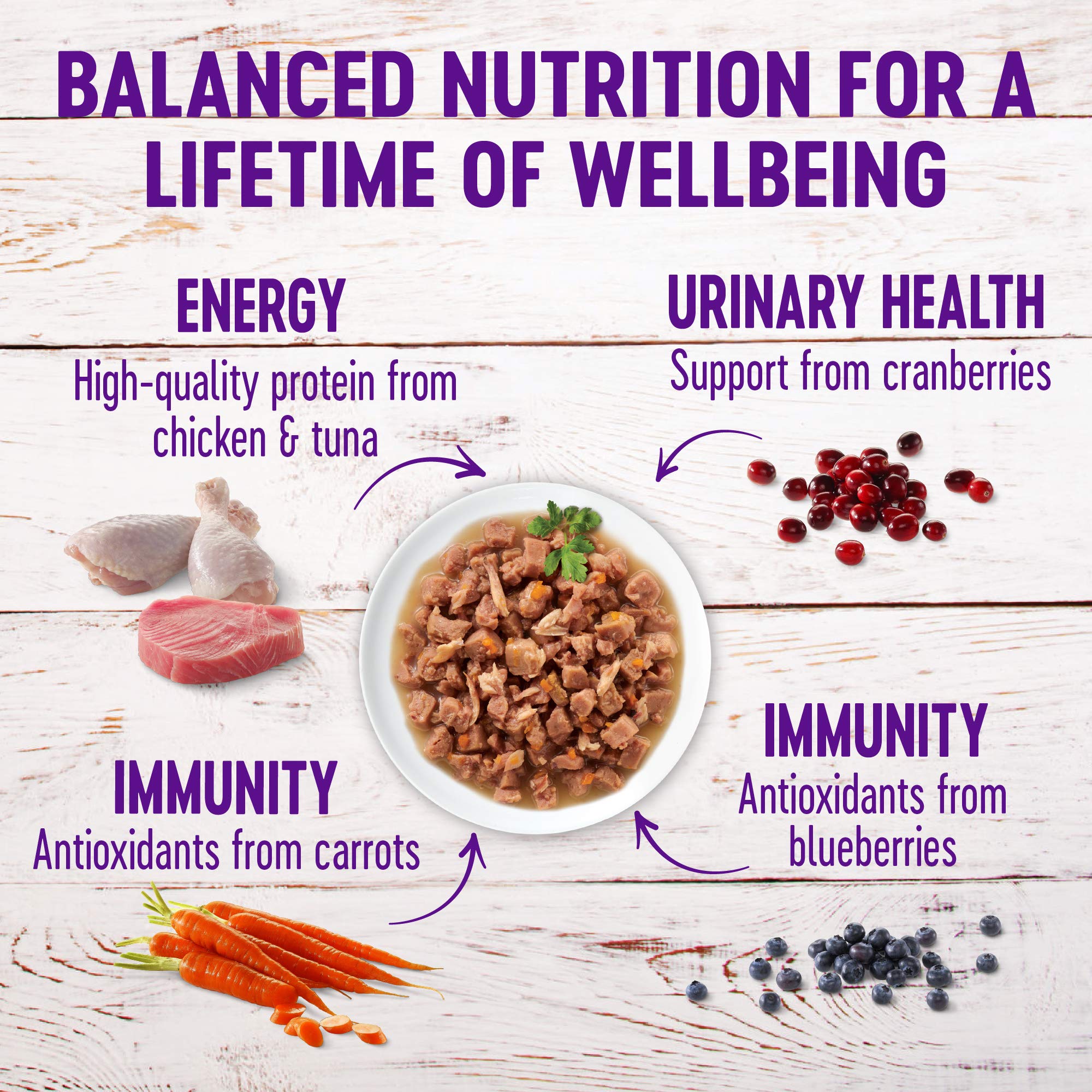 Wellness Healthy Indulgence Morsels Grain-Free Wet Cat Food, Made with Natural Ingredients and Quality Proteins, Complete and Ba