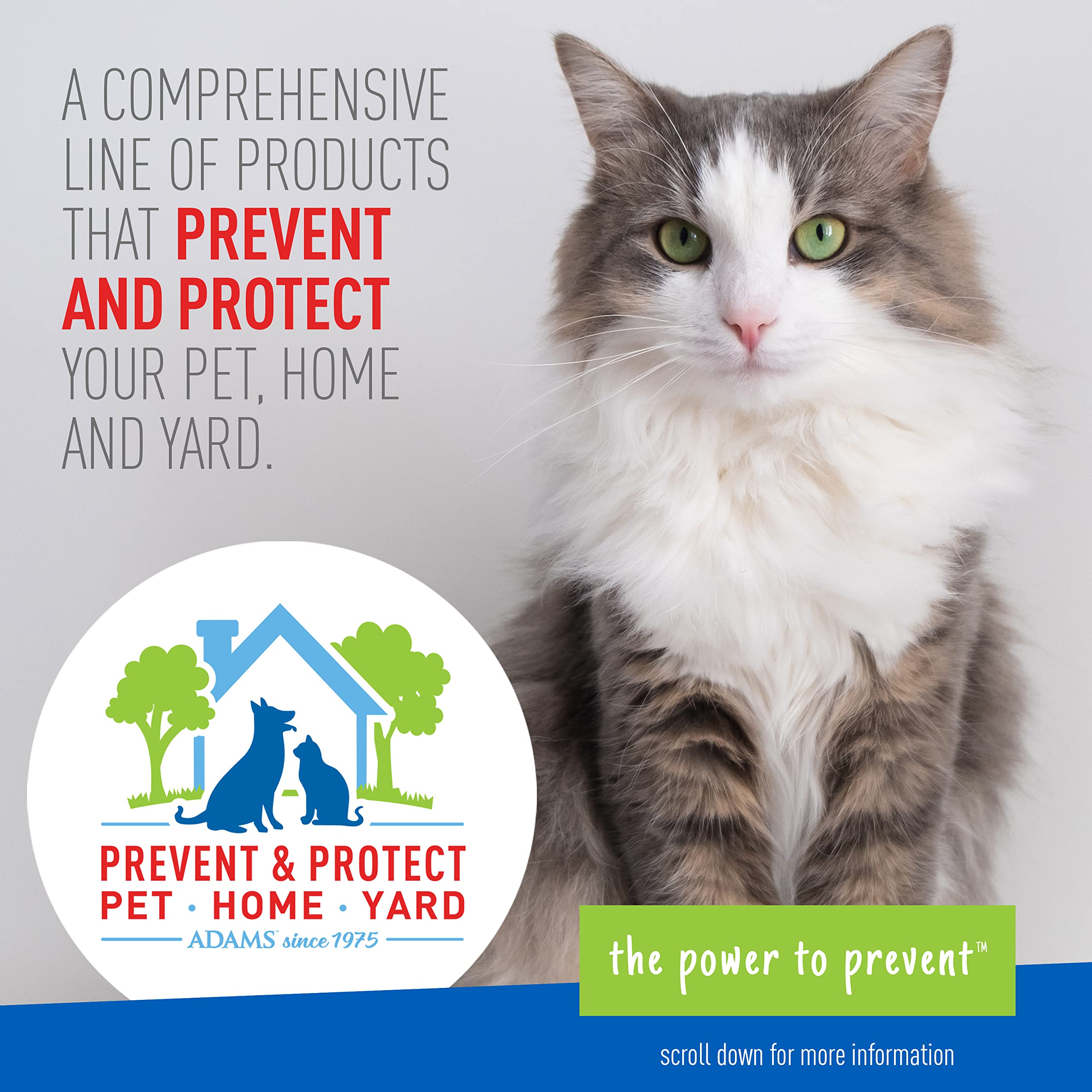 Adams Plus Flea & Tick Foaming Shampoo & Wash for Cats & Kittens Over 12 Weeks | Sensitive Skin Flea Treatment for Cats and Kitt