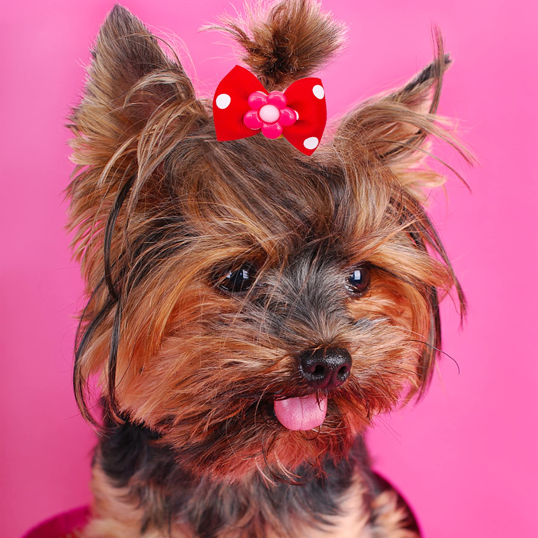 Jpgdn 30Pcs/15Pairs Dog Hair Bows With Rubber Bands Puppy Hair Bowknot Top Knot Elastic Red For Girl Female Doggy Cat Rabbit Poodle Pet Animal Grooming Accessories Attachment
