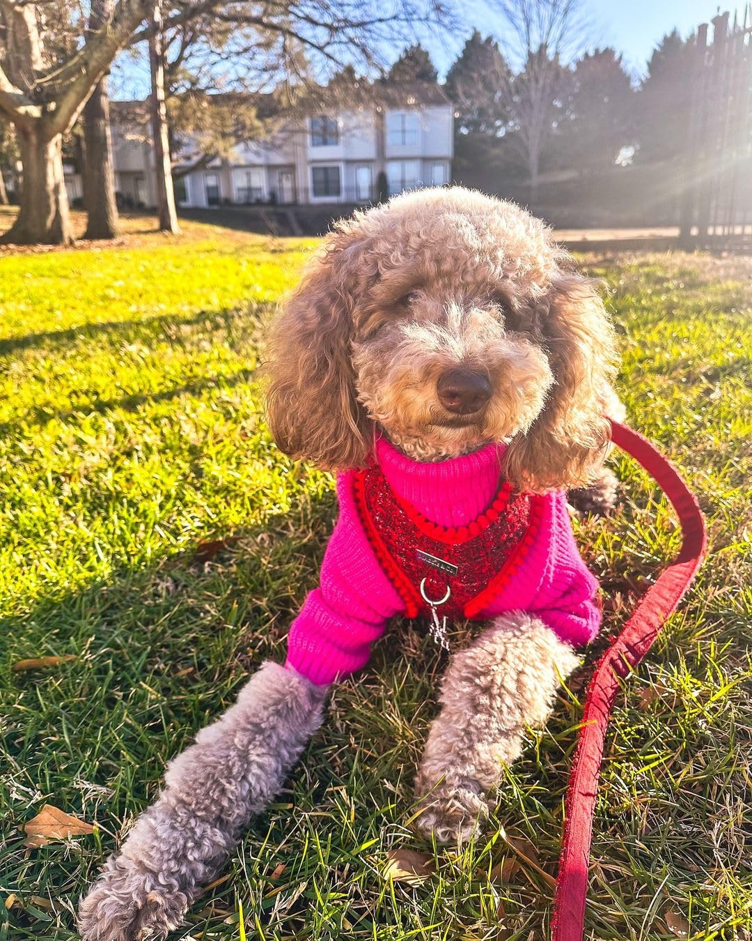 Fitwarm Valentines Dog Turtleneck Sweater, Dog Winter Clothes For Small Dogs Girl, Knitted Pet Coat, Cat Outfit, Hot Pink, Xxl
