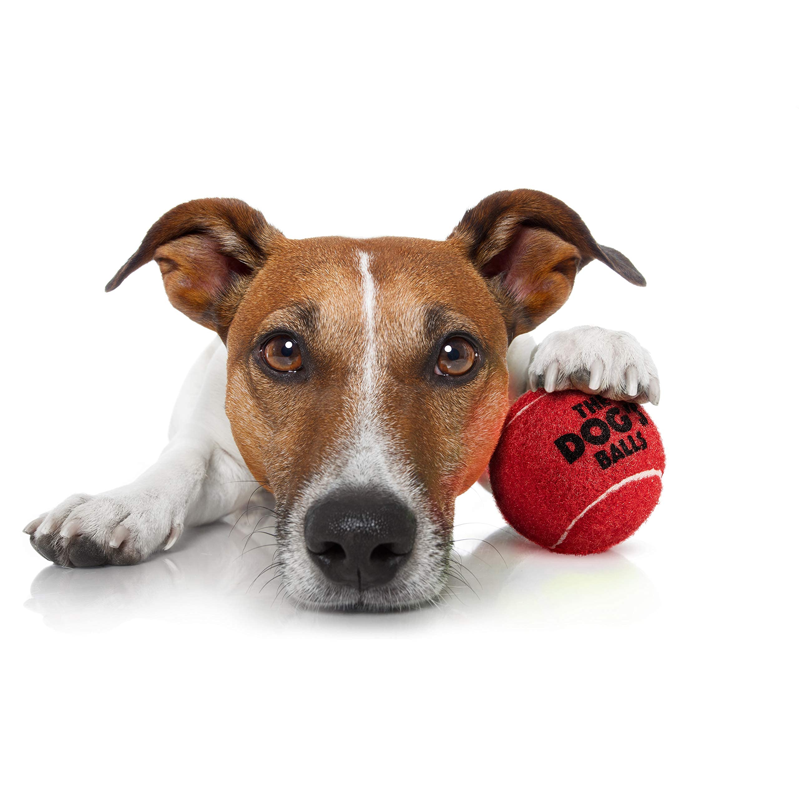 The Little Dog'S Balls, Dog Tennis Balls, 6-Pack Red Dog Toy, Strong Dog & Puppy Ball For Training, Play, Exercise & Fetch