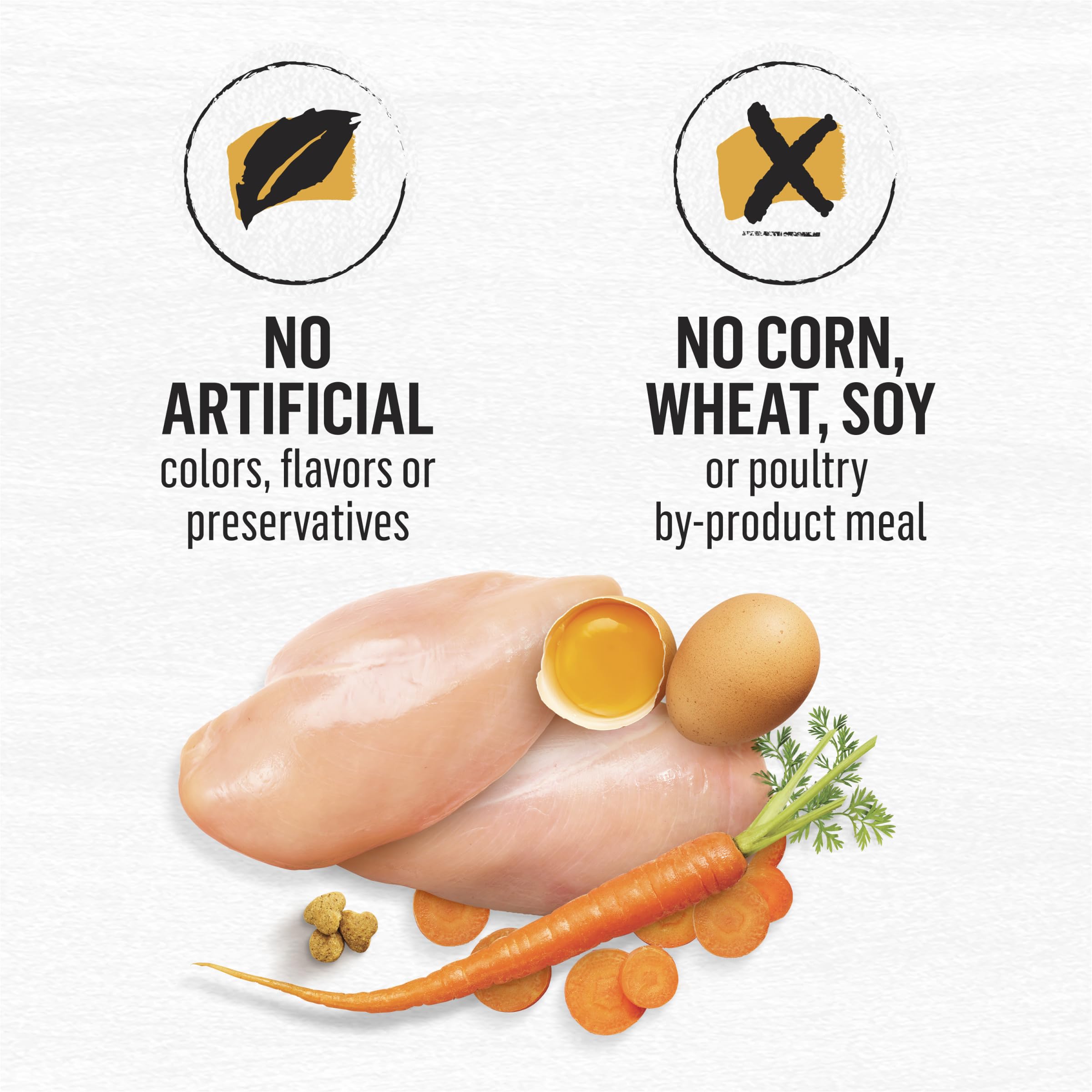 Purina Beyond Grain Free White Meat Chicken and Egg Recipe Natural Cat Food High Protein Cat Food Dry Formula - 5 lb. Bag
