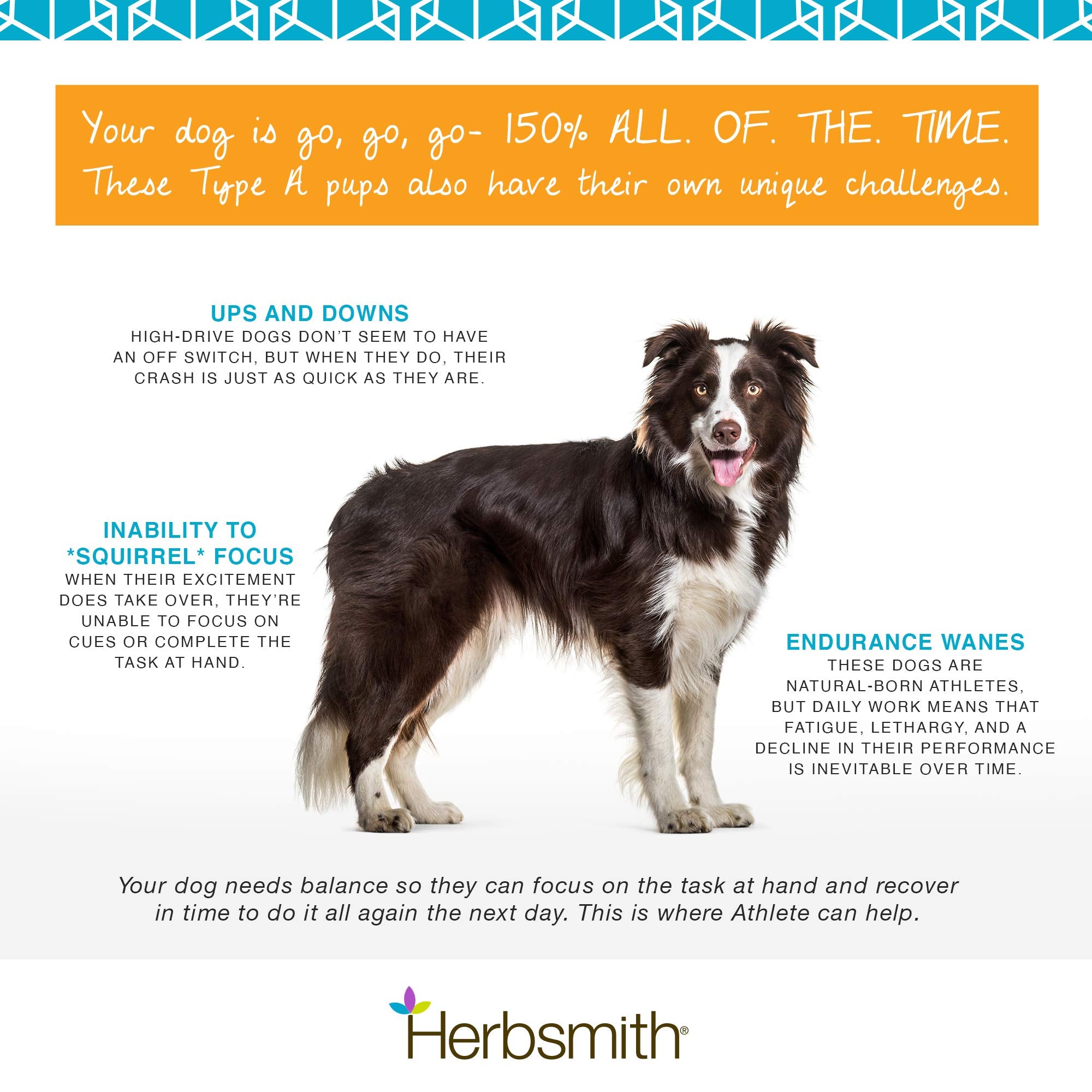 Herbsmith Athlete - Canine Endurance Supplement for Working and Agility Dogs - For the Canine Athlete - 500g Powder
