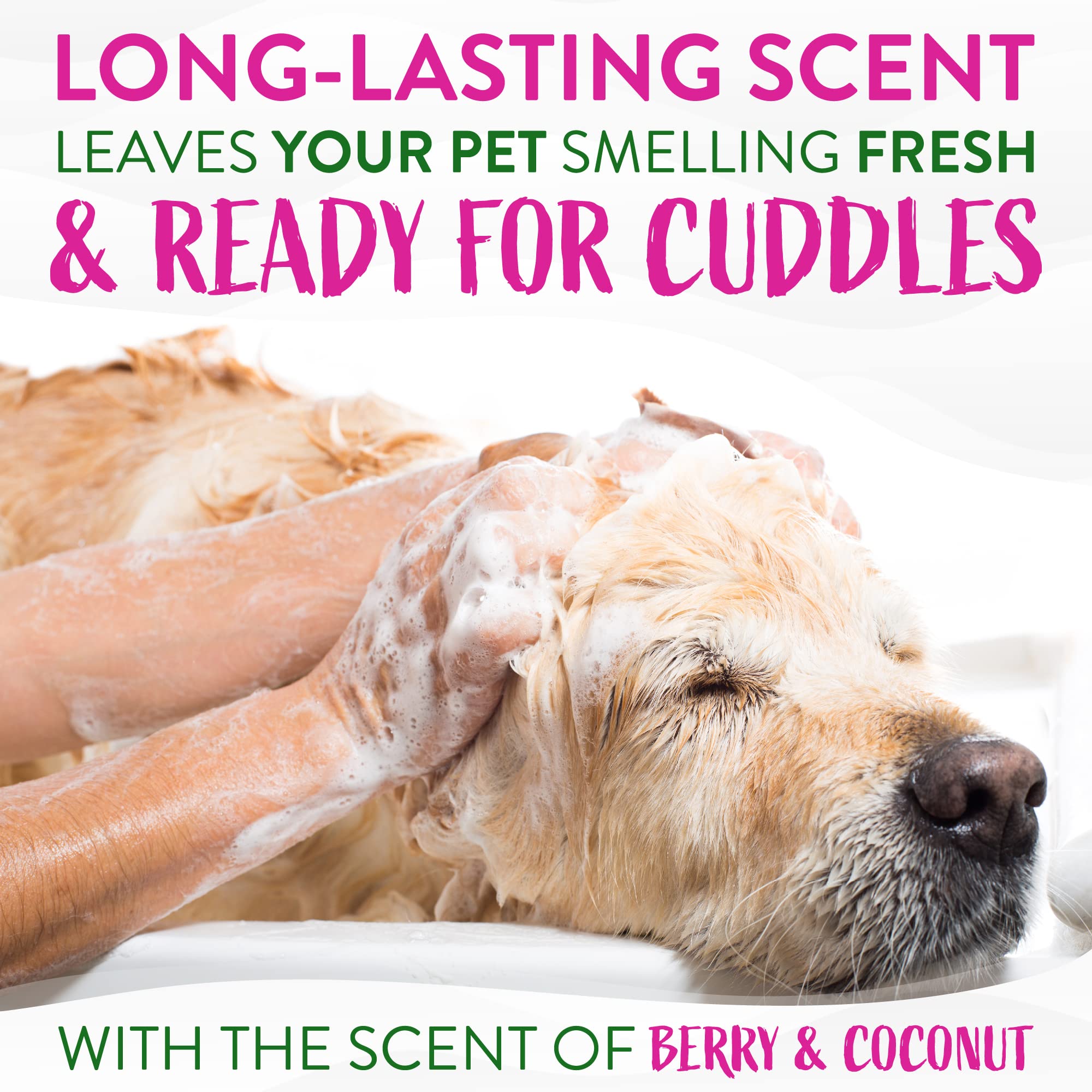 Tropiclean Berry & Coconut Deep Cleansing Dog Shampoo | Deodorizing Natural Pet Shampoo Derived From Natural Ingredients | Cat Friendly | Made In The Usa | 20 Oz.
