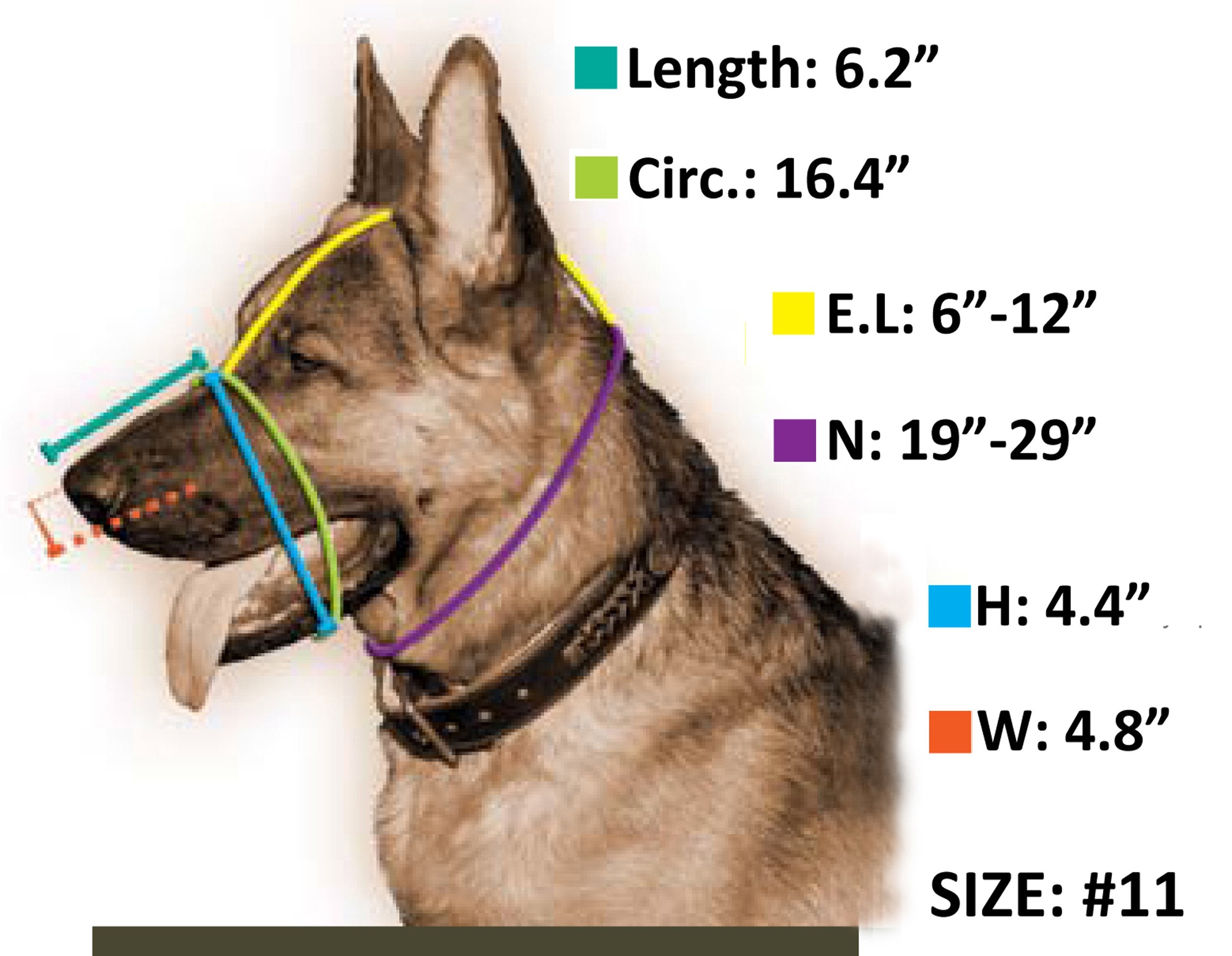 Dean And Tyler Wire Basket Muzzle, Size No. 11 - Newfoundland