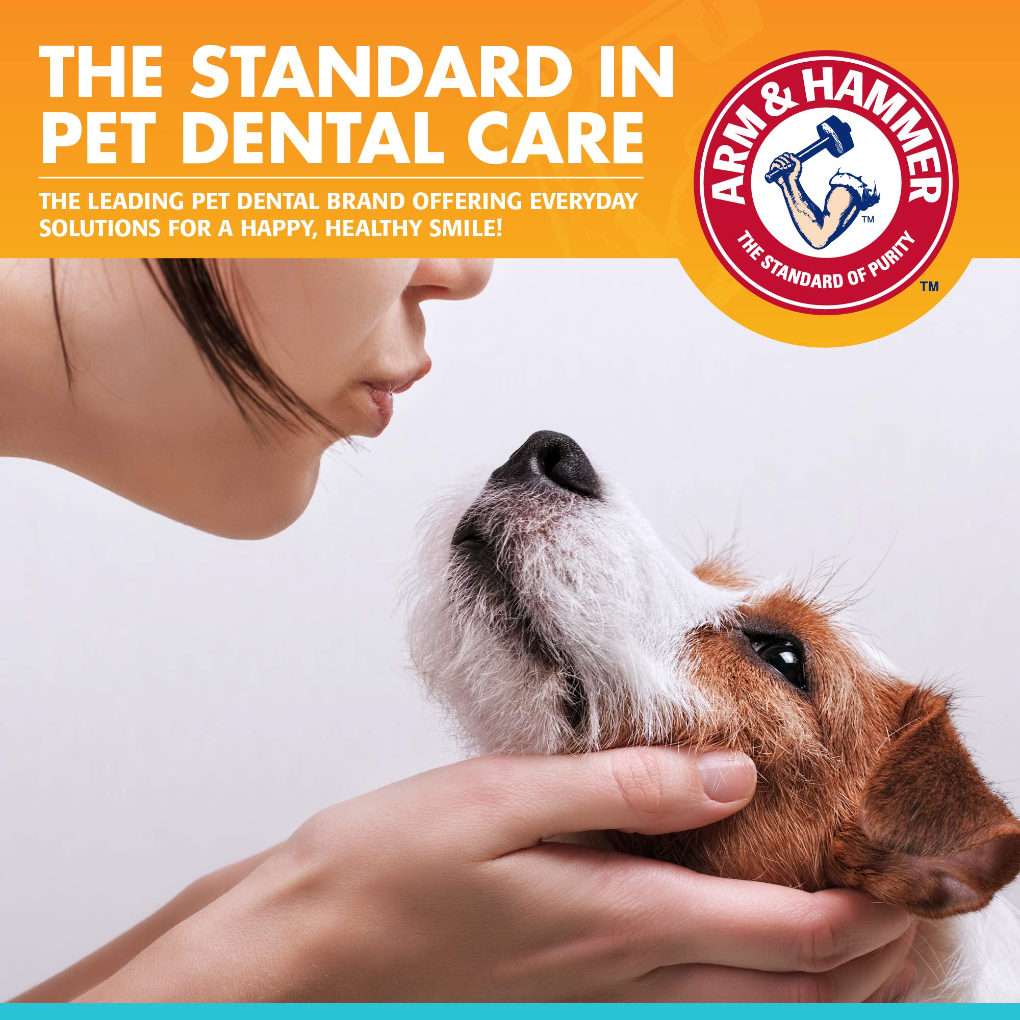 Arm & Hammer Dental Enzymatic Toothpaste for Dogs, 2.5 oz, 72 Pack - Soothes Gums, Fresh Breath Vanilla Ginger, Safe for Puppies