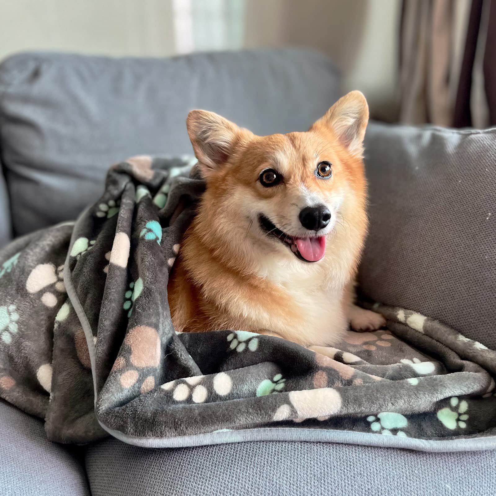 1 Pack 3 Puppy Blankets Super Soft Warm Sleep Mat Grey PAW Print Blanket Fleece Pet Blanket Dog Blankets for Small Dogs Puppy Do