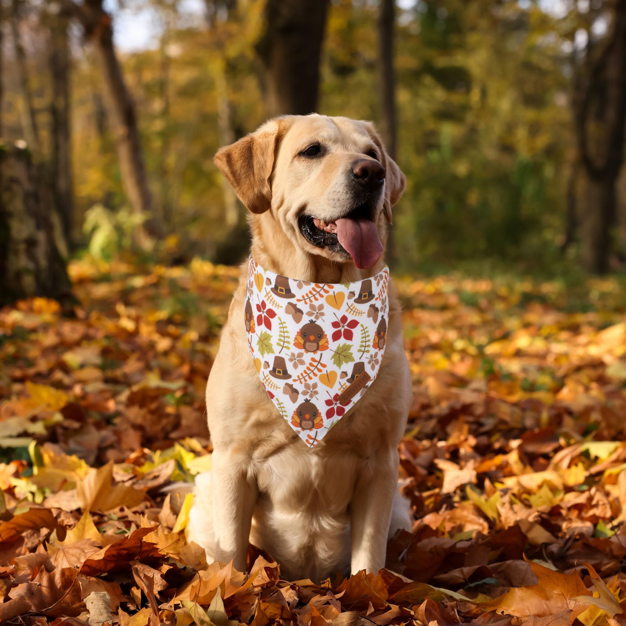 Adoggygo Thanksgiving Dog Bandana, Pumpkin Turkey Pet Scarf, Multi Size Offered, Fall Autumn Leaves Thanksgiving Bandanas For Ex