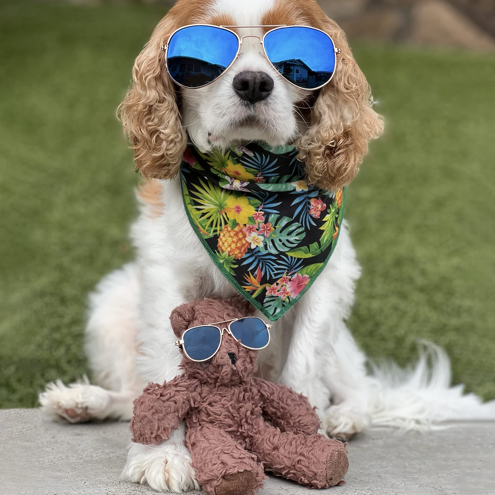 Spunky Pup Organic Cotton Dog Toy | Squeaky Plush Dog Toy | Small Bunny (Color May Slight Vary)