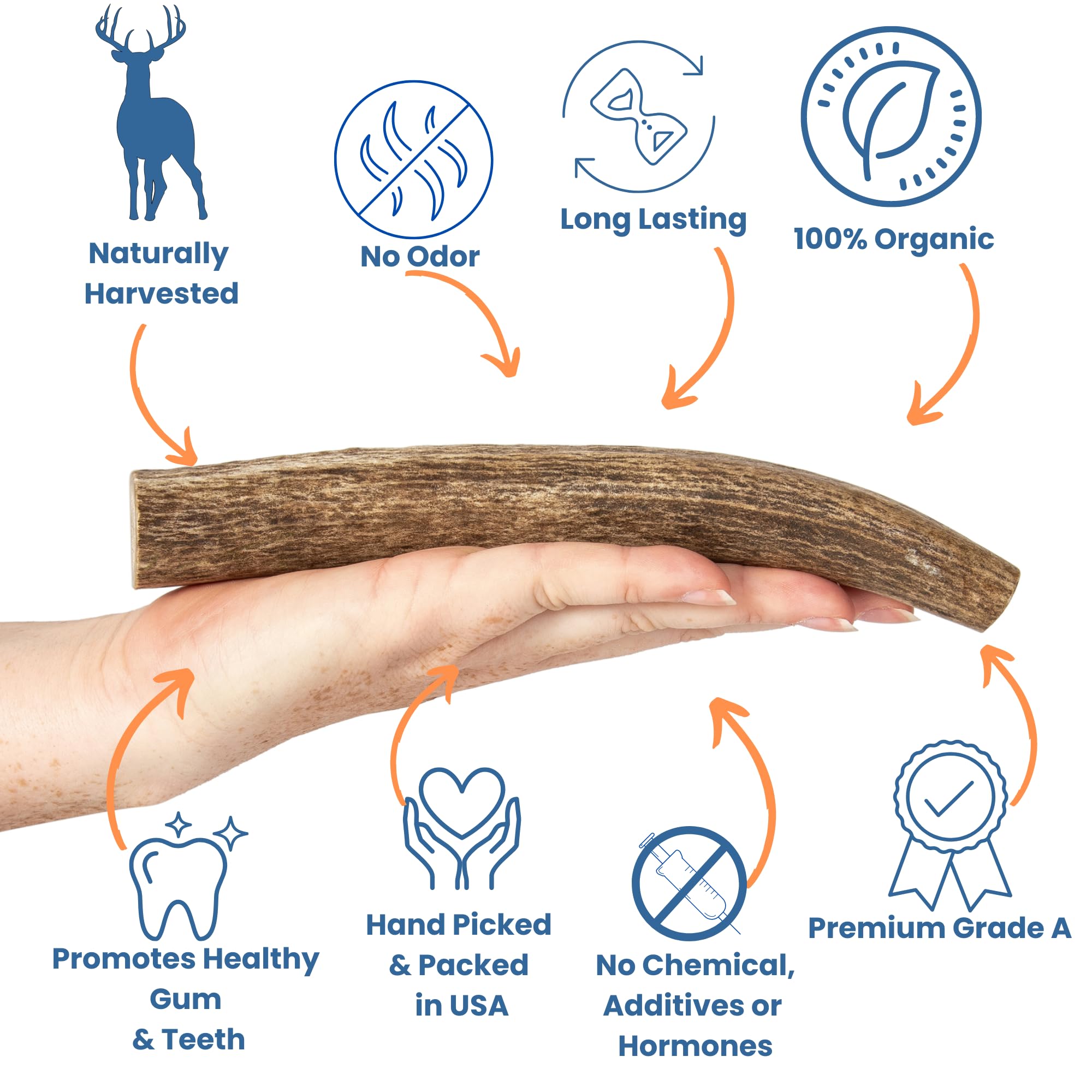 K9warehouse Natural Elk Antlers for Dogs - Premium Grade Dog Antler Chews - Long-Lasting Whole Deer Antles Ideal for Aggressive
