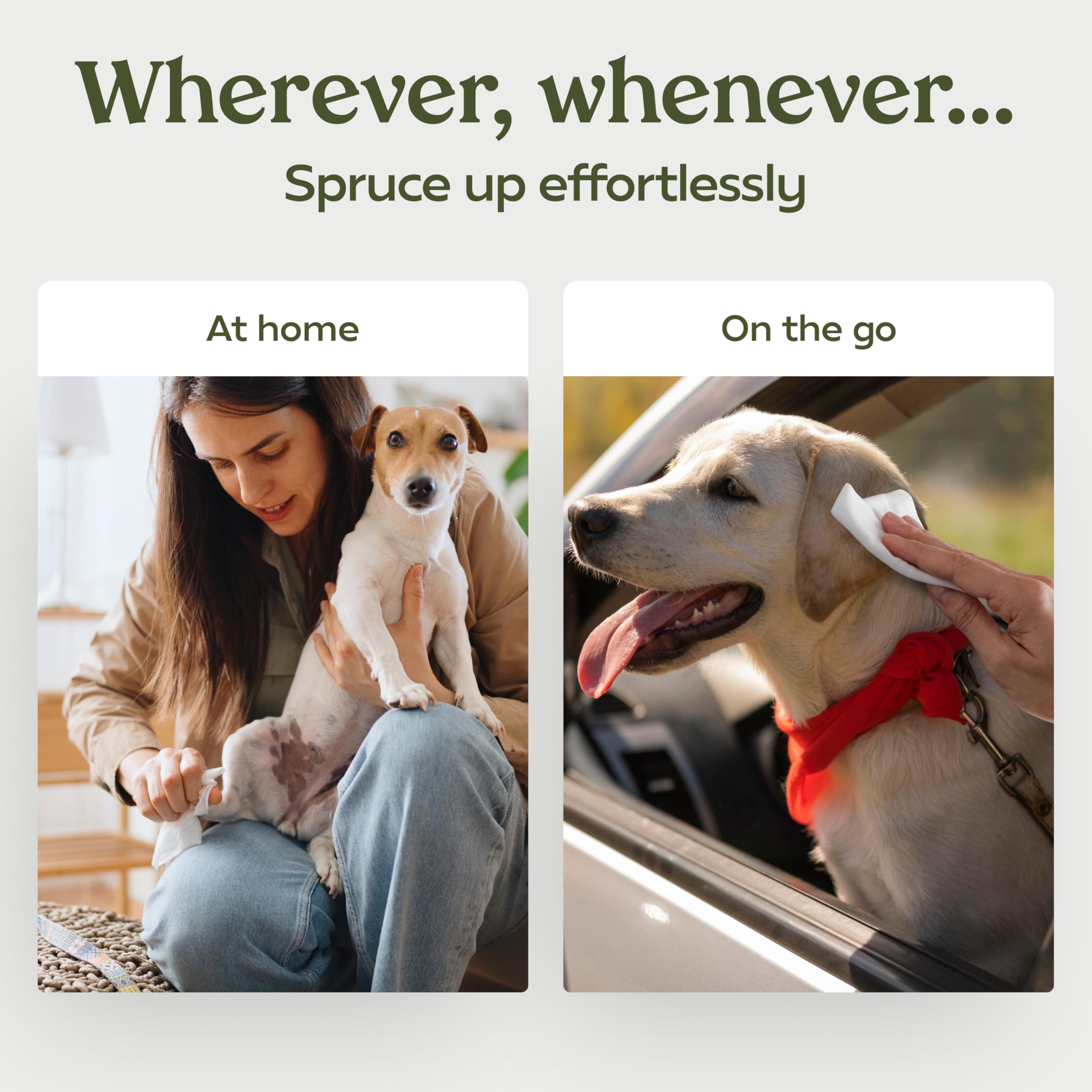 Pawfume Dog Wipes 100 Count, Pet Wipes - Hypoallergenic & Gentle Dog Wipes For Eyes, Face, Butt, And Paws - Cleaning & Deodorizi