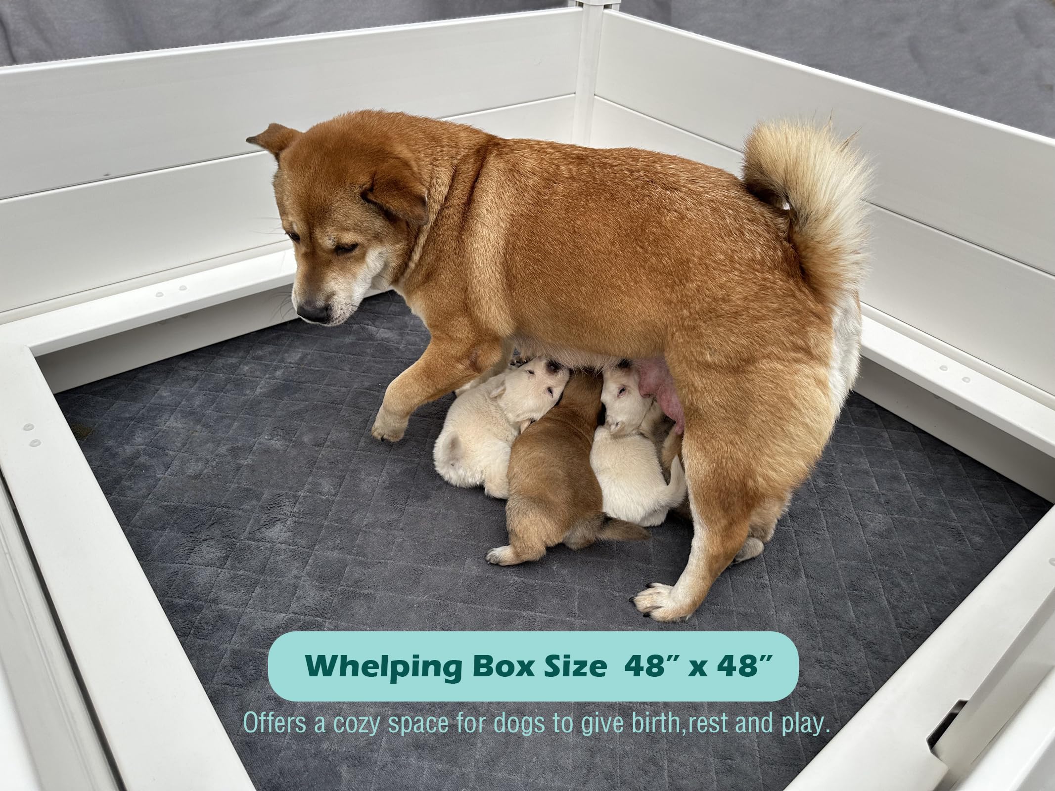 Whelping Box For Dogs,48 * 48 * 18In,With Pig Rails And Washable Pee Pad,For Small And Large Breed Puppies (Whelping Box With Pa