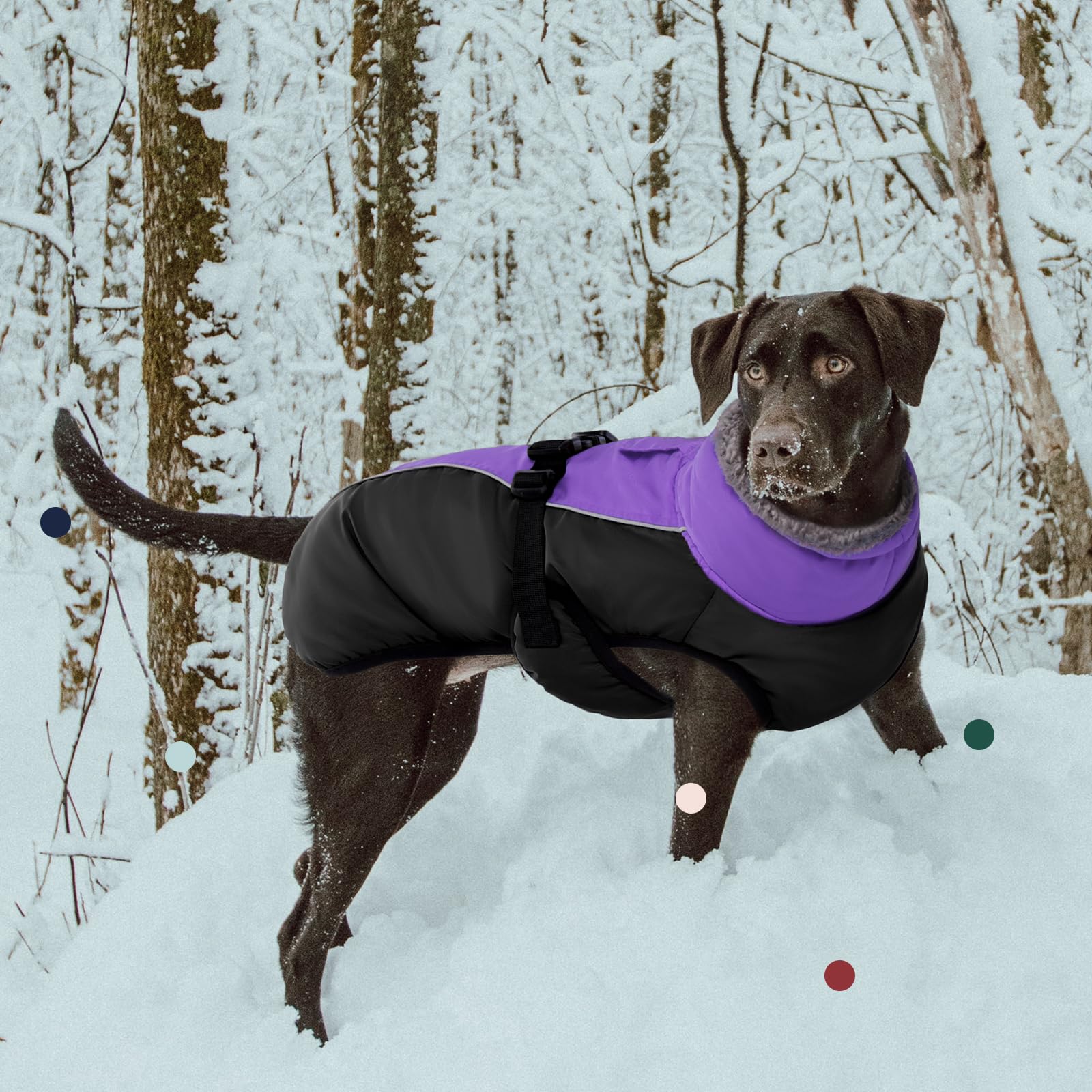 Iecoii Extra Warm Dog Coat Reflective Adjustable Dog Jacket Dog Winter Coat With Buckle Fleece Turtleneck Dog Jacket For Cold We