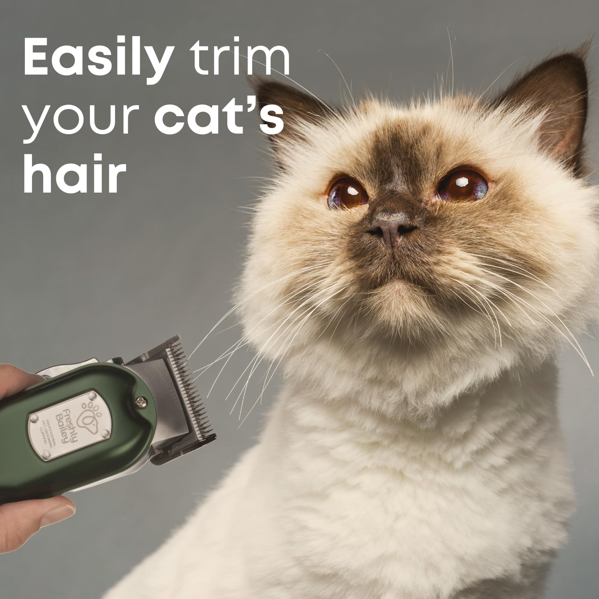 Freshly Bailey Cat Clippers For Matted Hair - Matted Cat Fur Remover - Low Noise Grooming Trimmer & Shaver | Pet Clippers For Lo