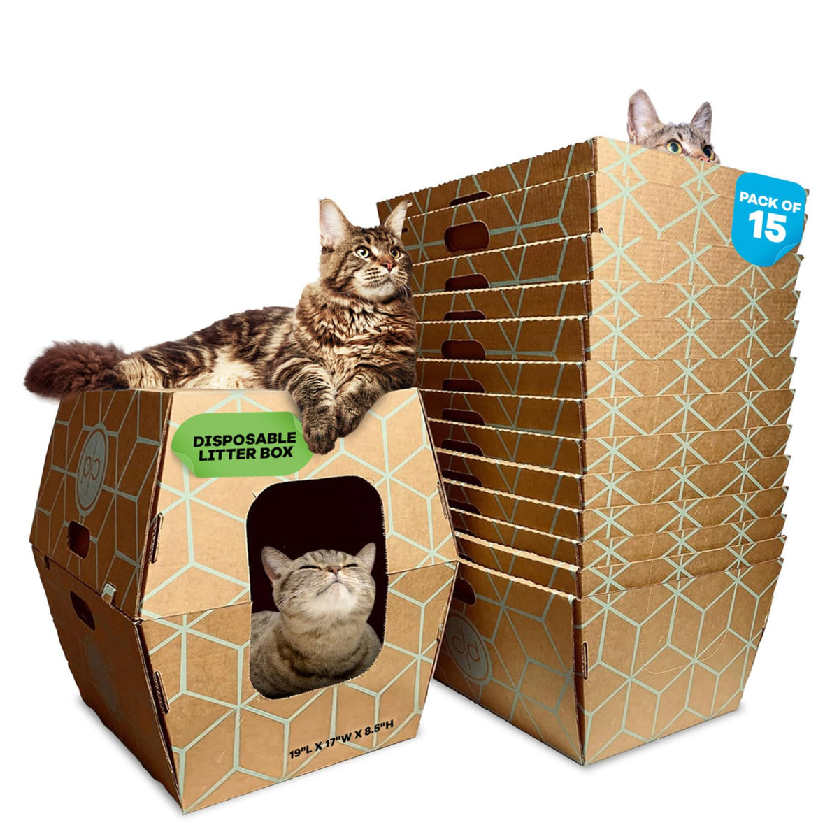 Cats Desire Disposable Litter Box 15 Trays First Patented Tallest Disposable Litter Box Low Entry 19'' Lx17 Wx8.5 Per Tray17 Int