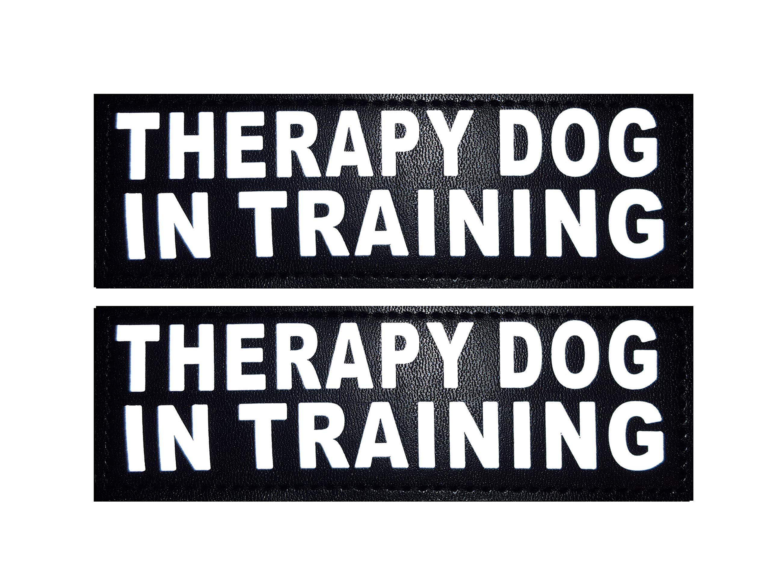Doggie Stylz Set Of 2 Reflective Therapy Dog In Training Reflective Removable Patches With Hook Backing For Working Dog Harnesses & Vests. 3 Sizes Small, Medium And Large (Small 3'X1')