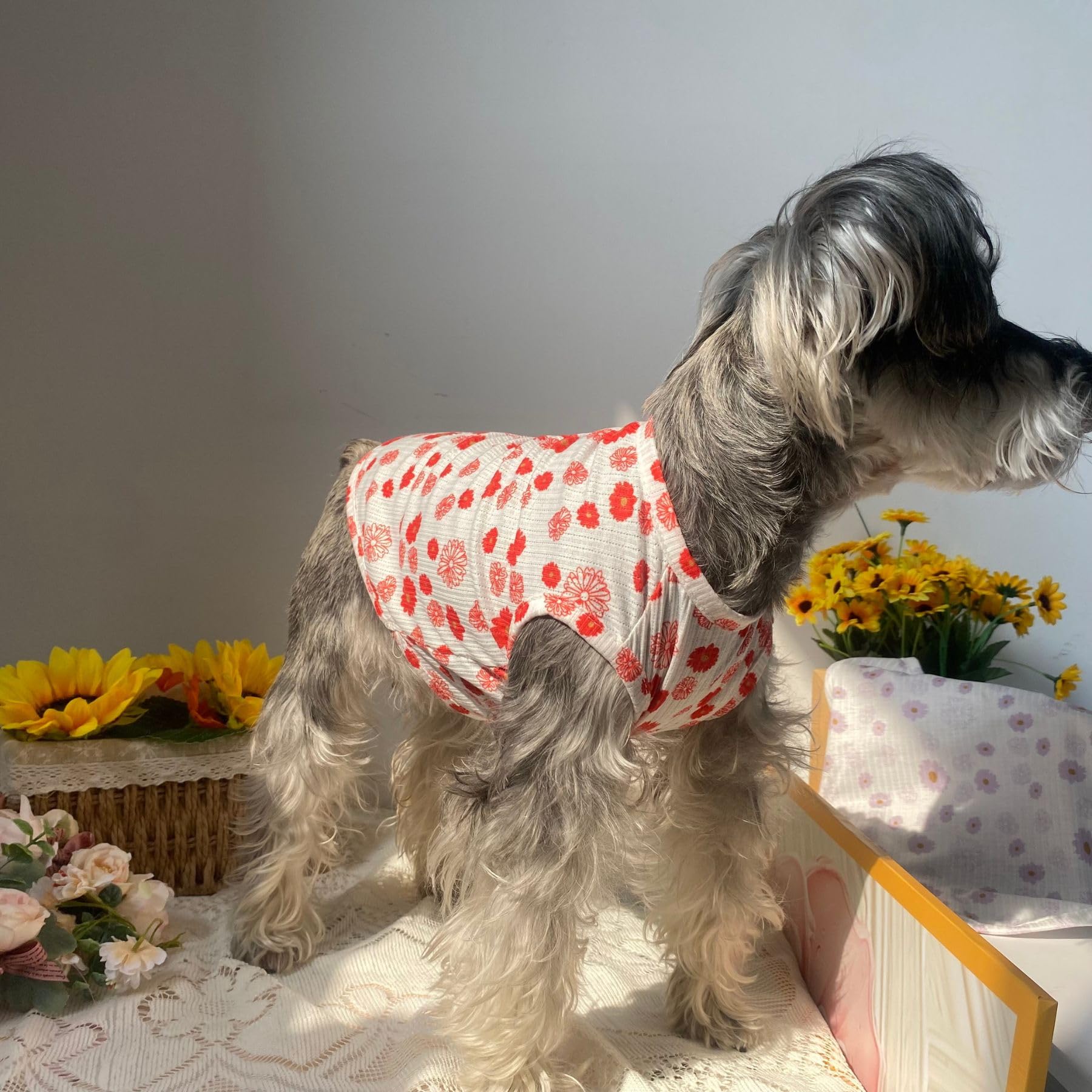 2Pcs Summer Dog Cotton T Shirt Pet Tee Shirts Puppy Daisy Flower Prints Clothes Apparel For Small Dogs Cats