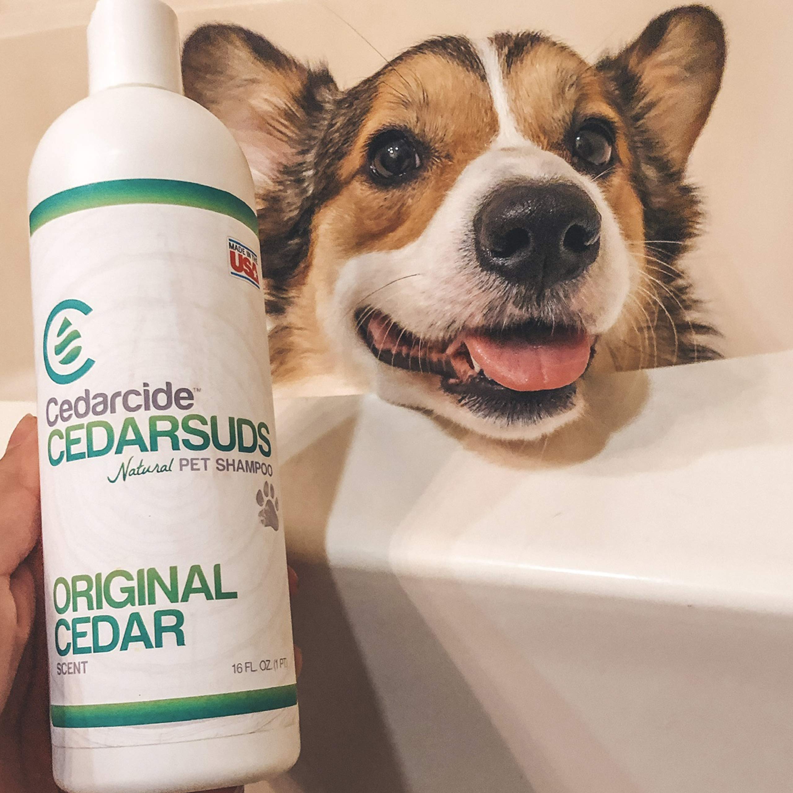 Cedar Suds Pet Shampoo Original Cedar Scent (Pint (16Oz))