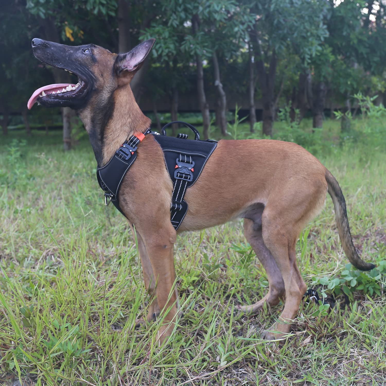 Icefang Gn8 Quick-Moving Tactical Dog Harness With Handle,Reflective In Training Walking K9 Vest,No-Pull Front Lead,5-Points Adjustable,Hook And Loop Panels (Elite Black, Medium (Pack Of 1))