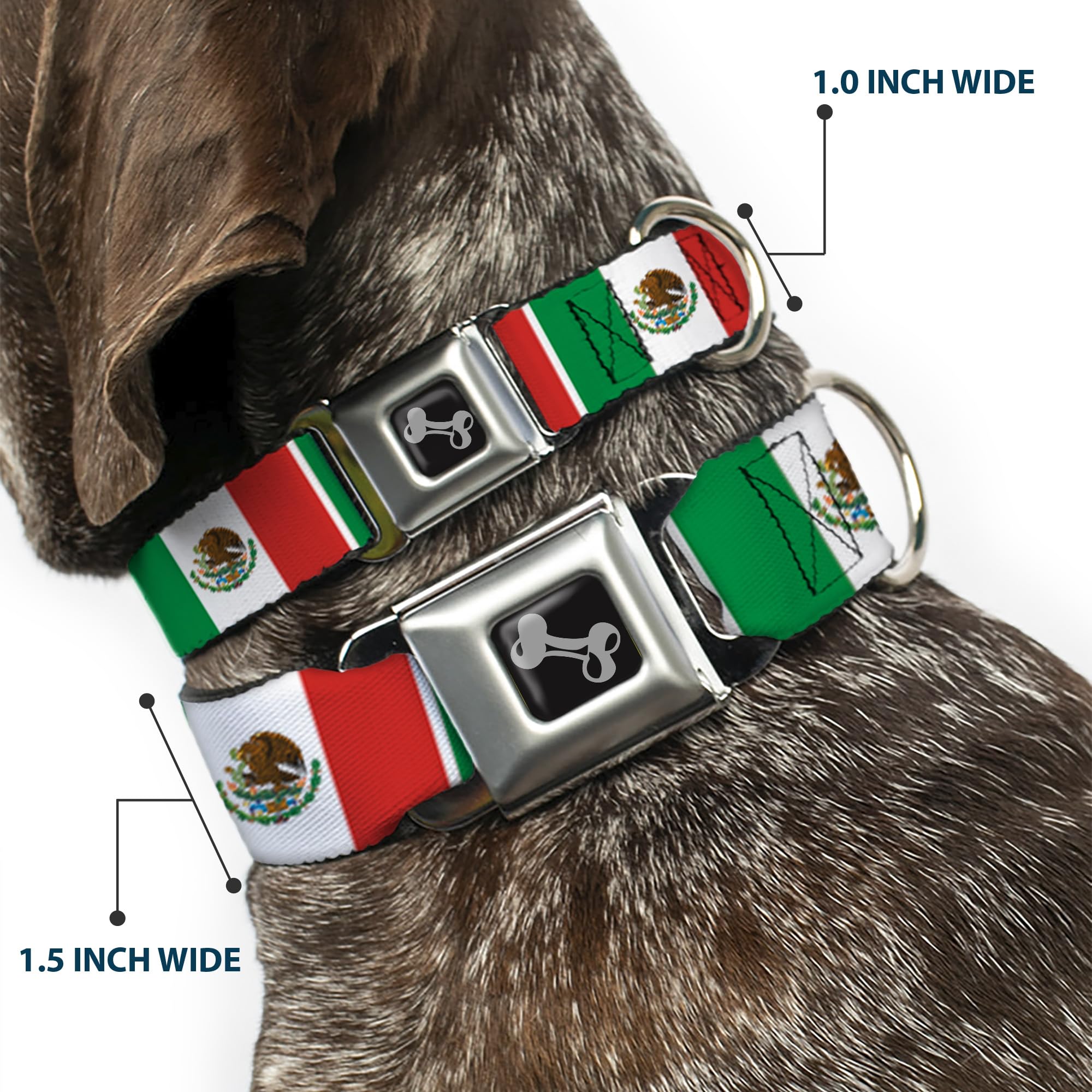 Buckle-Down Seatbelt Buckle Dog Collar - Mexico Flags - 1.5' Wide - Fits 18-32' Neck - Large