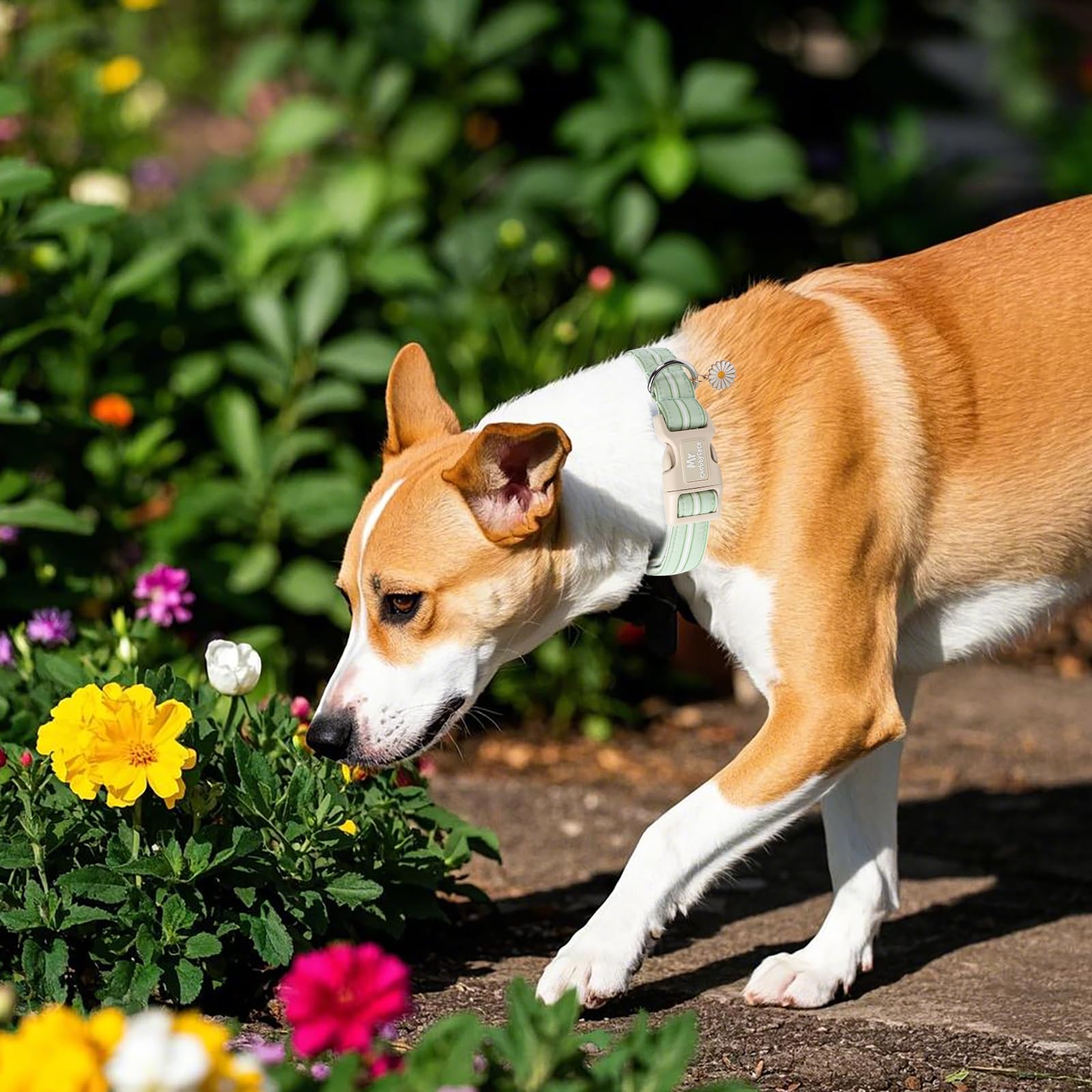 Mr.Chubbyface Cotton Dog Collar, Cute Green Summer Puppy Collar With Plastic Buckle, Adjustable Soft Natural Fabric Pet Collar F