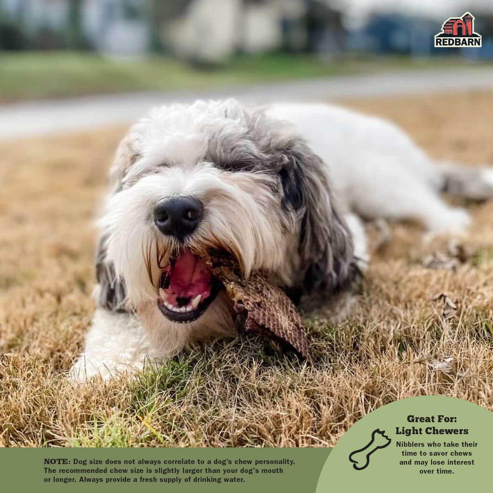 Redbarn Lamb Lung Filets - Oven Roasted Jerky-Style Dog Treats, Flavorful, Tasty & Highly Palatable Chews, Single Ingredient Pro