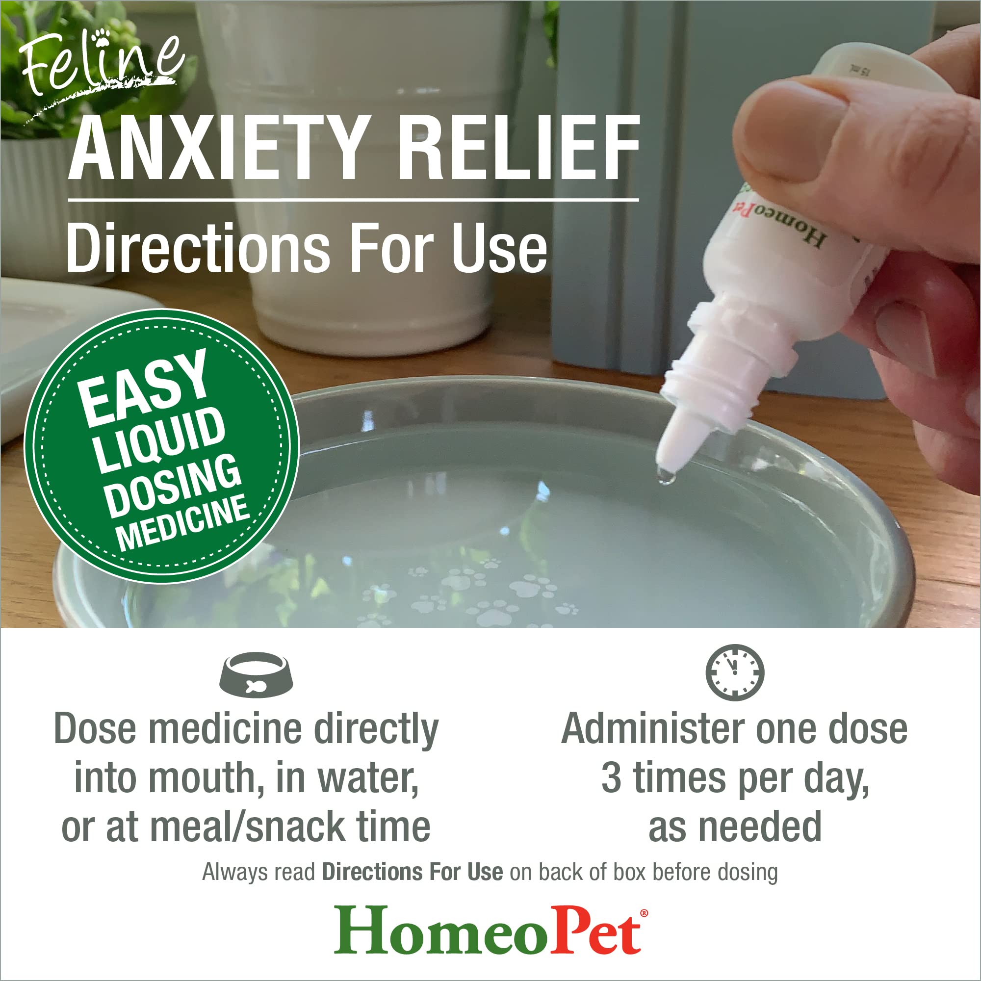 Anxiety Relief Medicine for Cats
