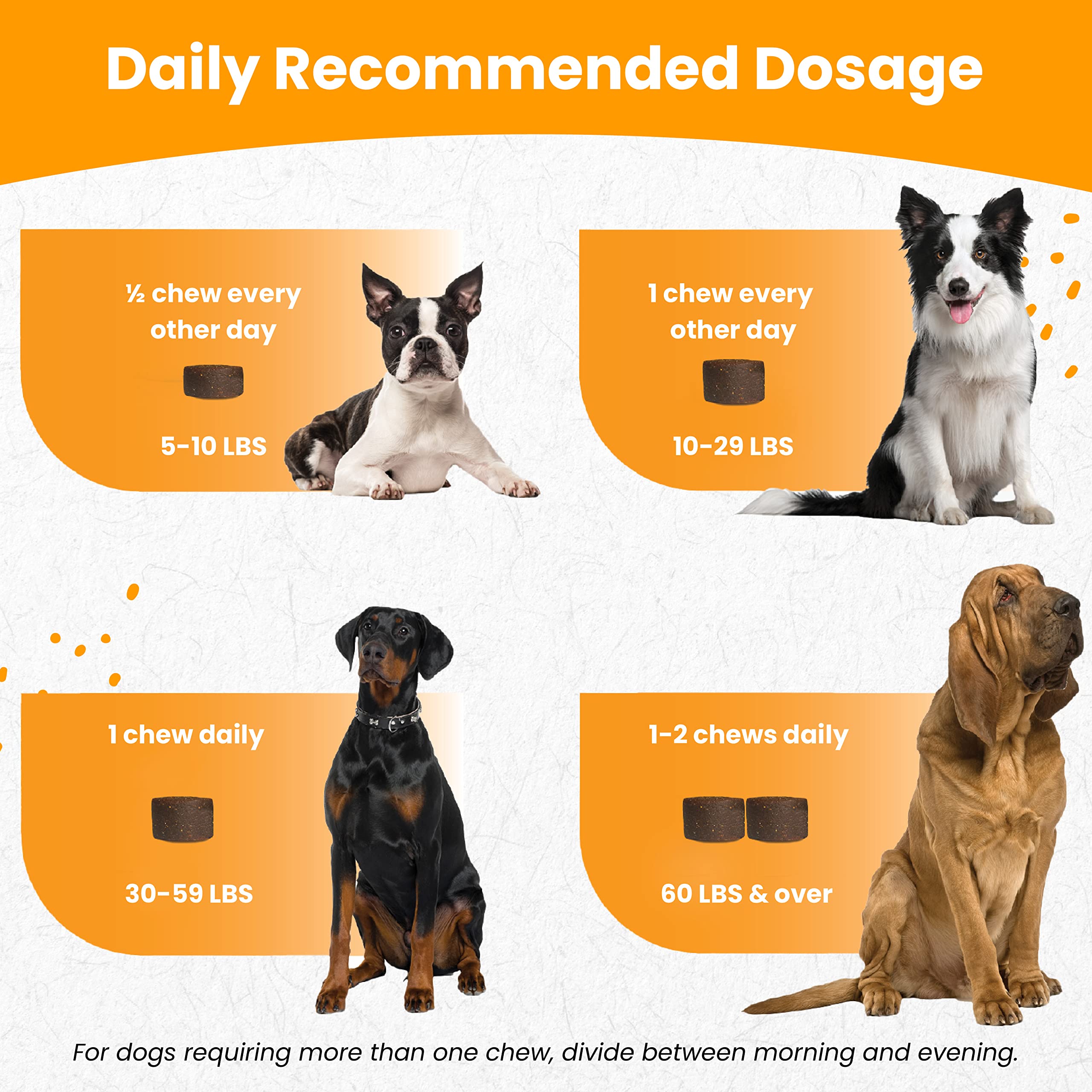Nootie Glucosamine for Dogs - 250 ct - Hip and Joint Soft Chews Supplement for Dogs - Daily Dog MSM Chondroitin Chews with Turme