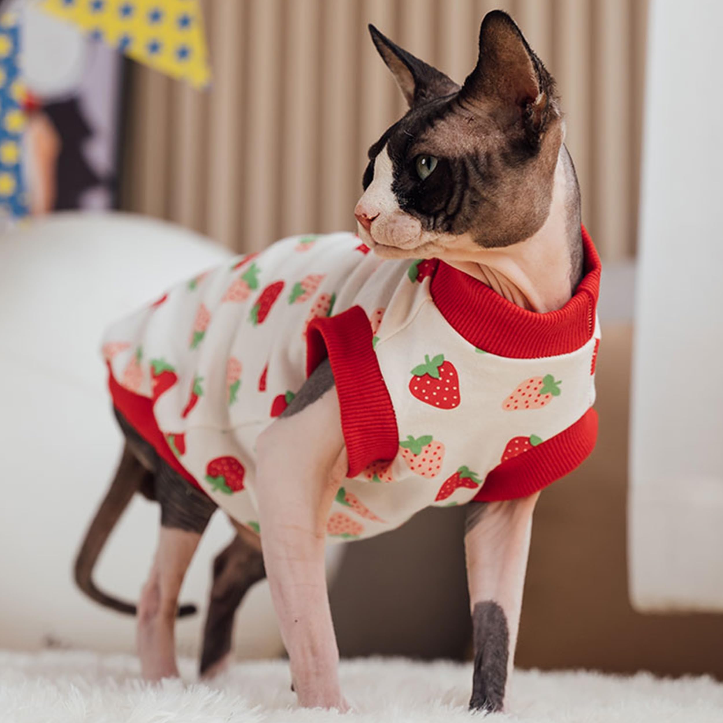 Pumyporeity Sphynx Cat Clothes, Stretchy Sweater, Soft Shirt, Pullover Pajamas, Turtleneck For Sphynx, Cornish Rex, Devon Rex, R