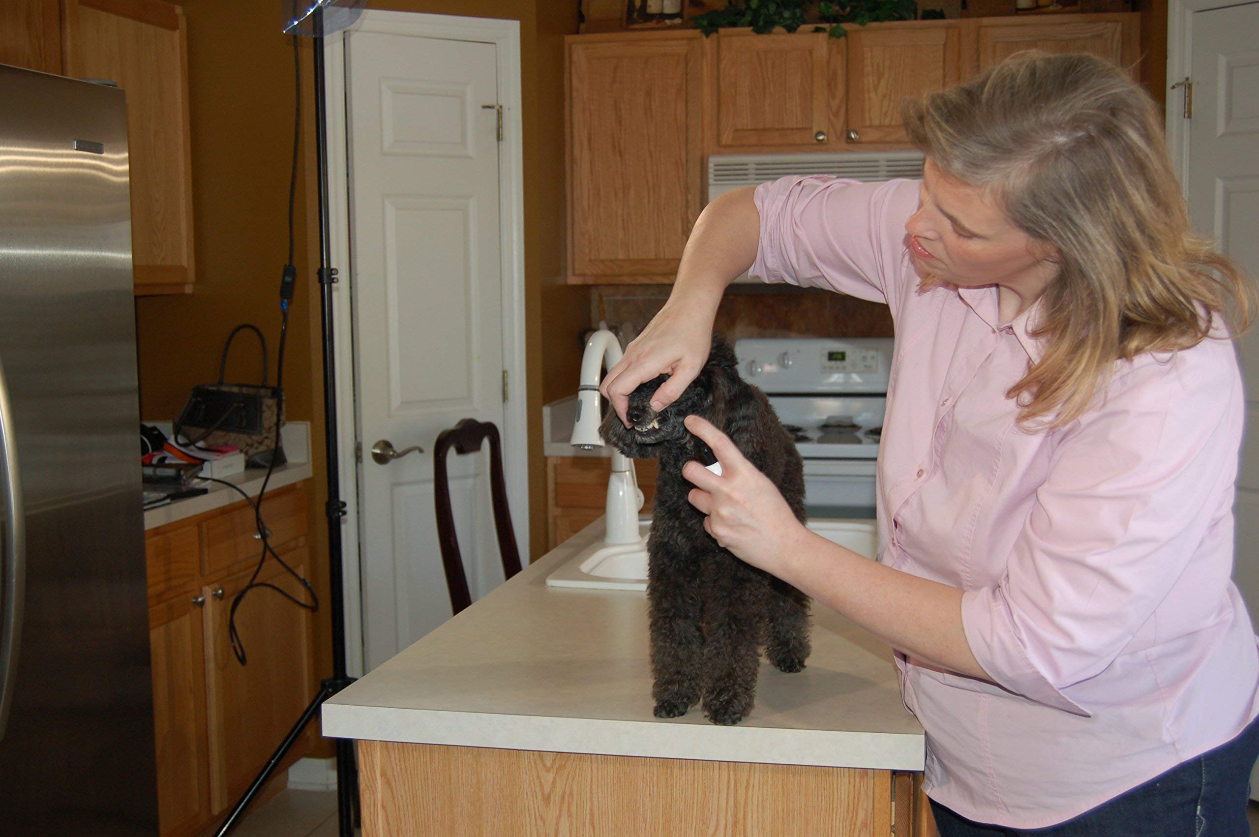 Plaque Attack Pet Dental Spray