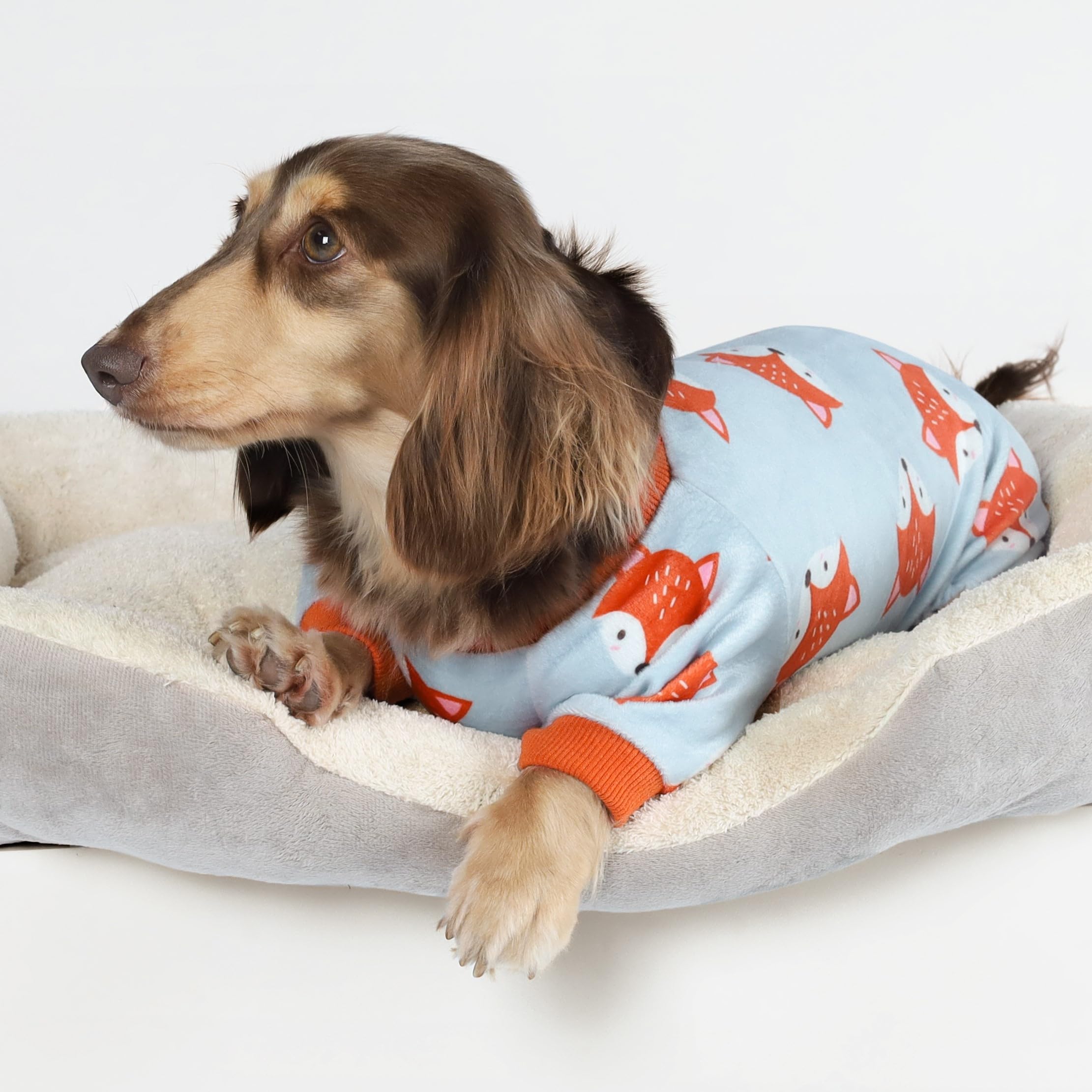 Fitwarm Funny Fox Dog Pajamas, Warm Dog Onesie, Dog Clothes For Small Dogs Girl Boy, Lightweight Velvet, Pet Outfit, Gray, Orang