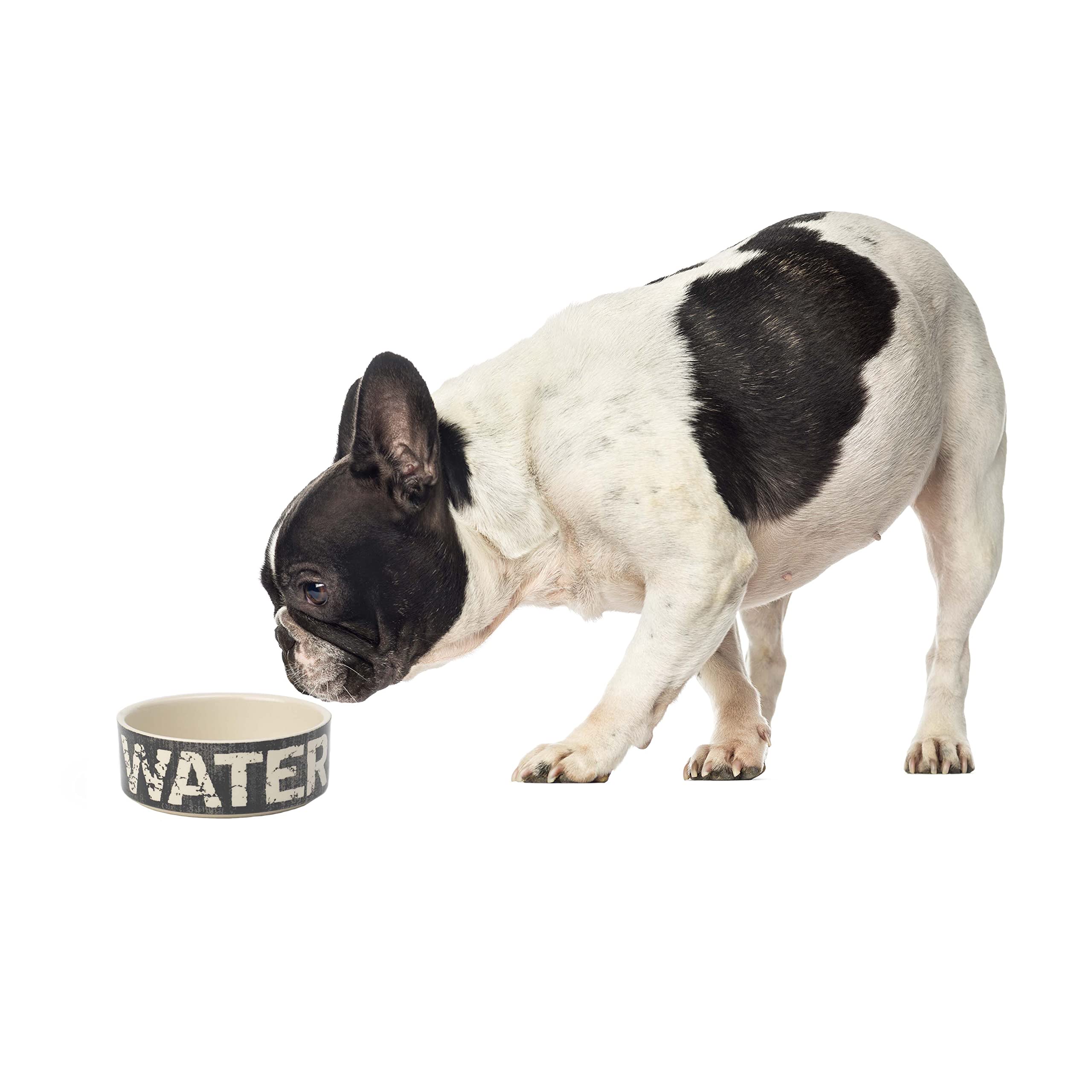 Petrageous 10001 Vintage Stoneware Dog Water Bowl With 2 Cup Capacity 5 Inch Diameter By 2 Inch Tall Great For Small And Medium