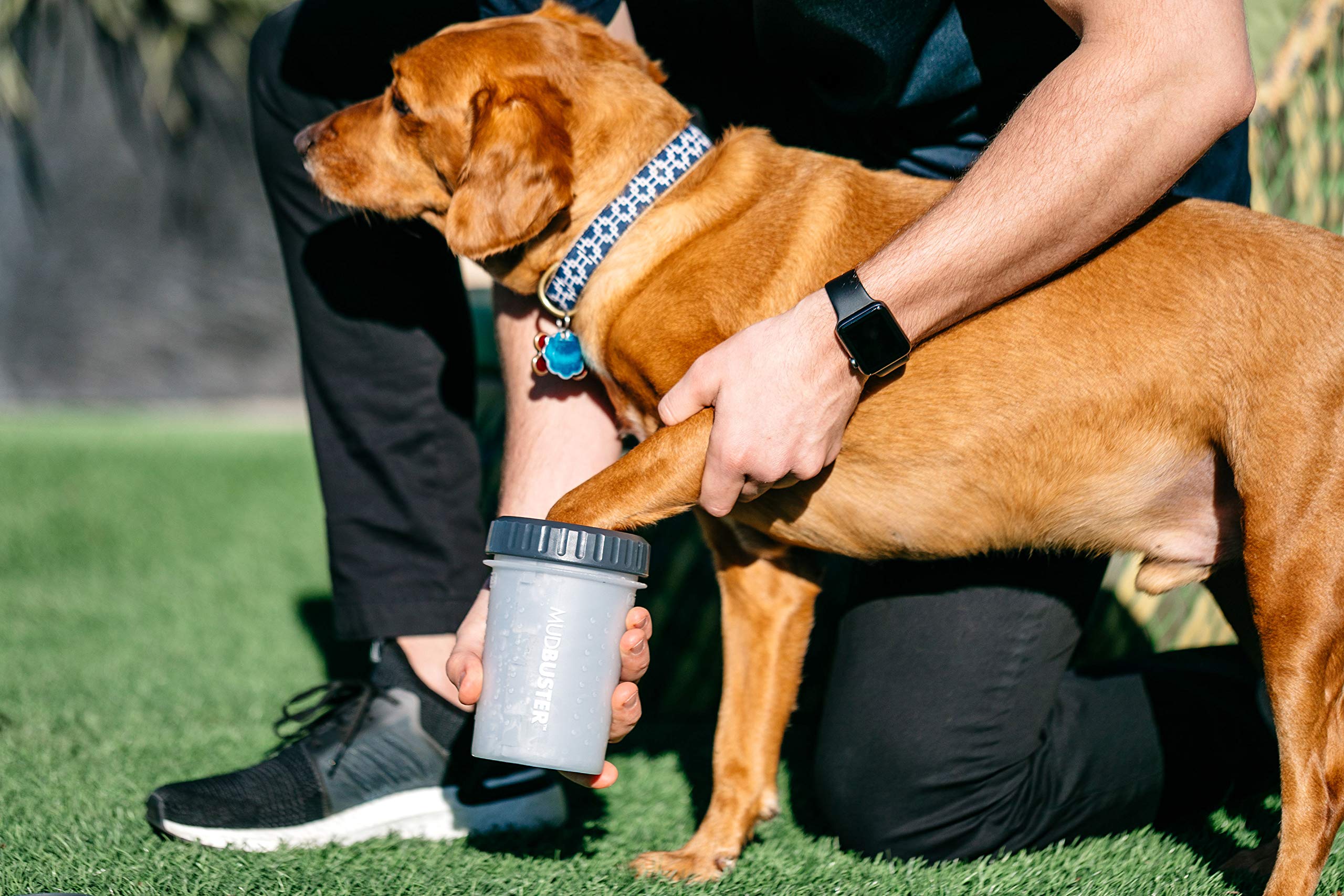 Dexas Lidded Mudbuster Portable Dog Paw Cleaner, Light Gray, Medium With Lid