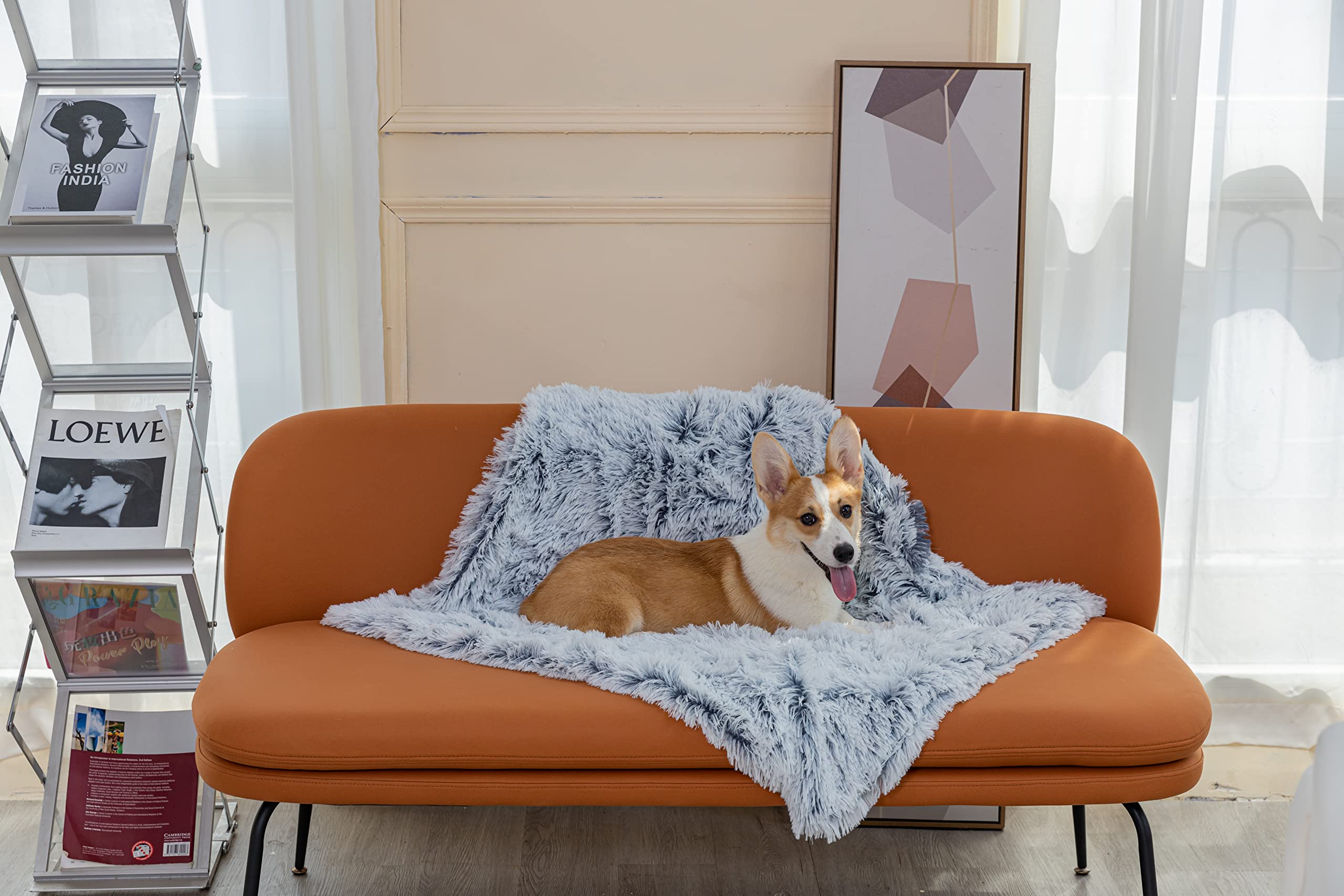 PJYuCien Fluffy Fleece Calming Pet Throw Blanket, Super Soft and Warm for Indoor Cats and Dogs, Large 30 * 40 , Machine Washable