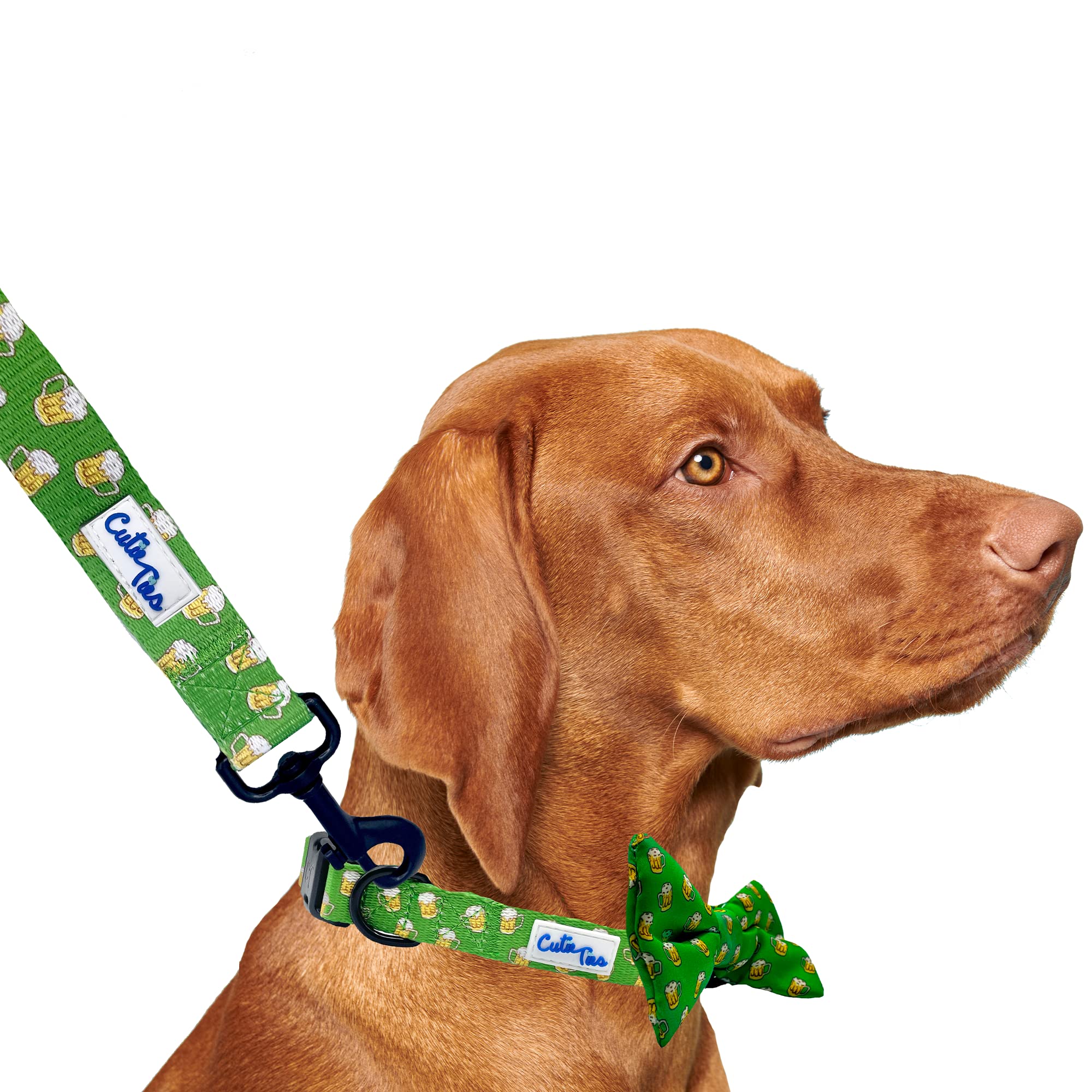 Cutie Ties Dog Leash Green Beer– Durable Nylon Material - Premium Quality Leash For Dogs - Fancy Leashes - Cute Dog Leash In Two Sizes - (Green Beer, Small (5/8' X 5'))