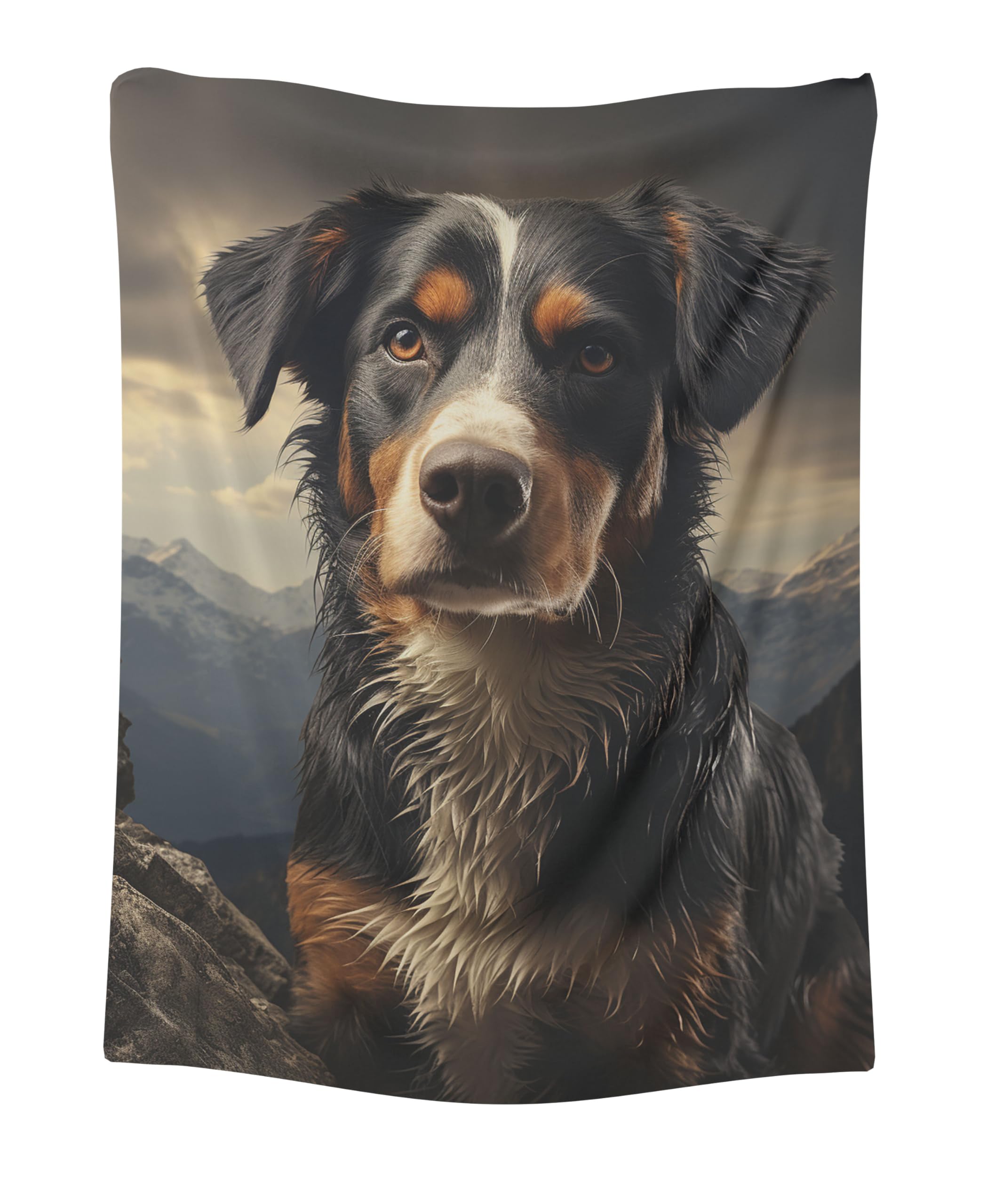 CAPITUNEISKINEPA Entlebucher Mountain Dog Blanket Gift Blanket for Bed Blanket for Couch 50 x 60