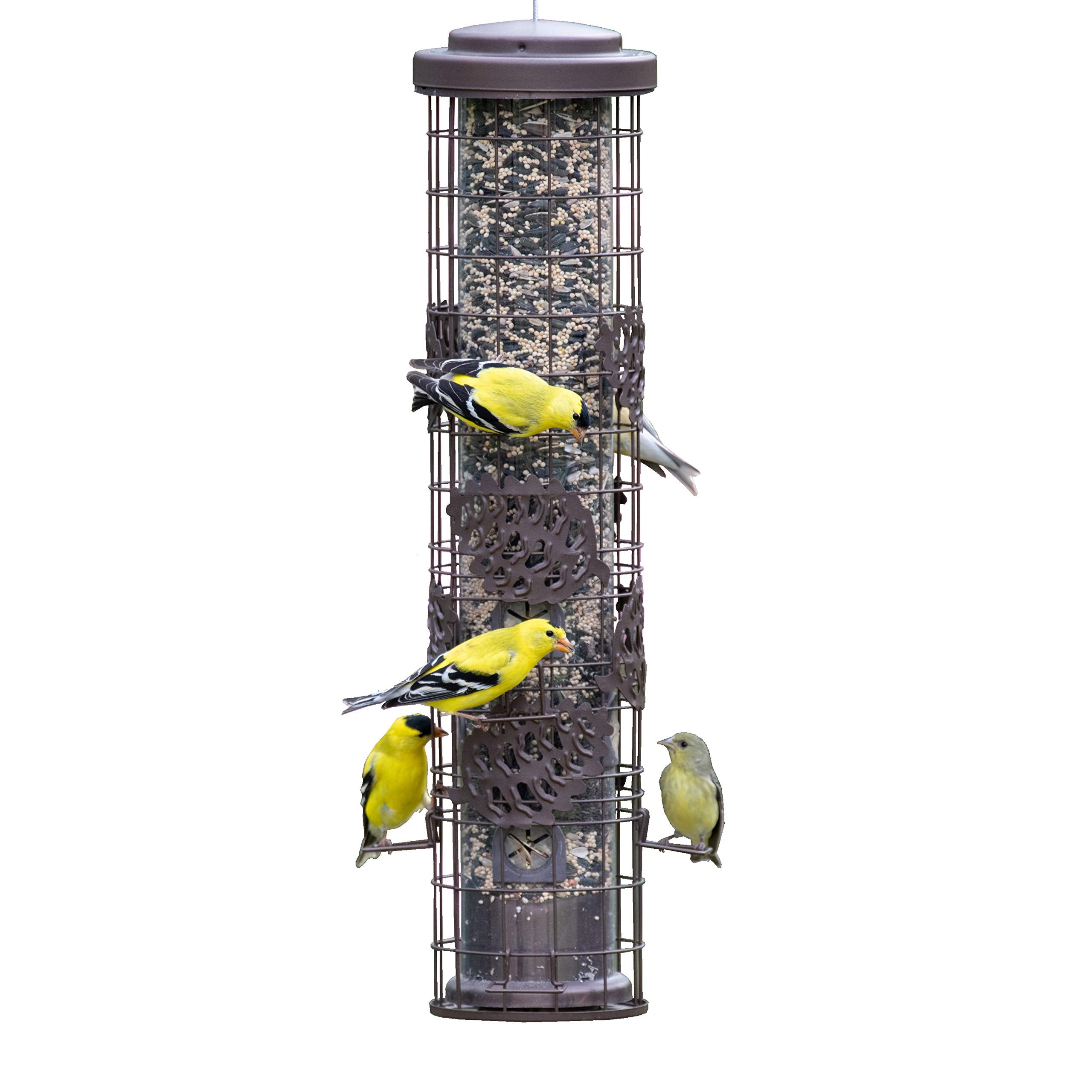 Perky-Pet SBG101 Squirrel Off Max Pinecone Bird Feeder with Flexports - 1.75 lb Capacity