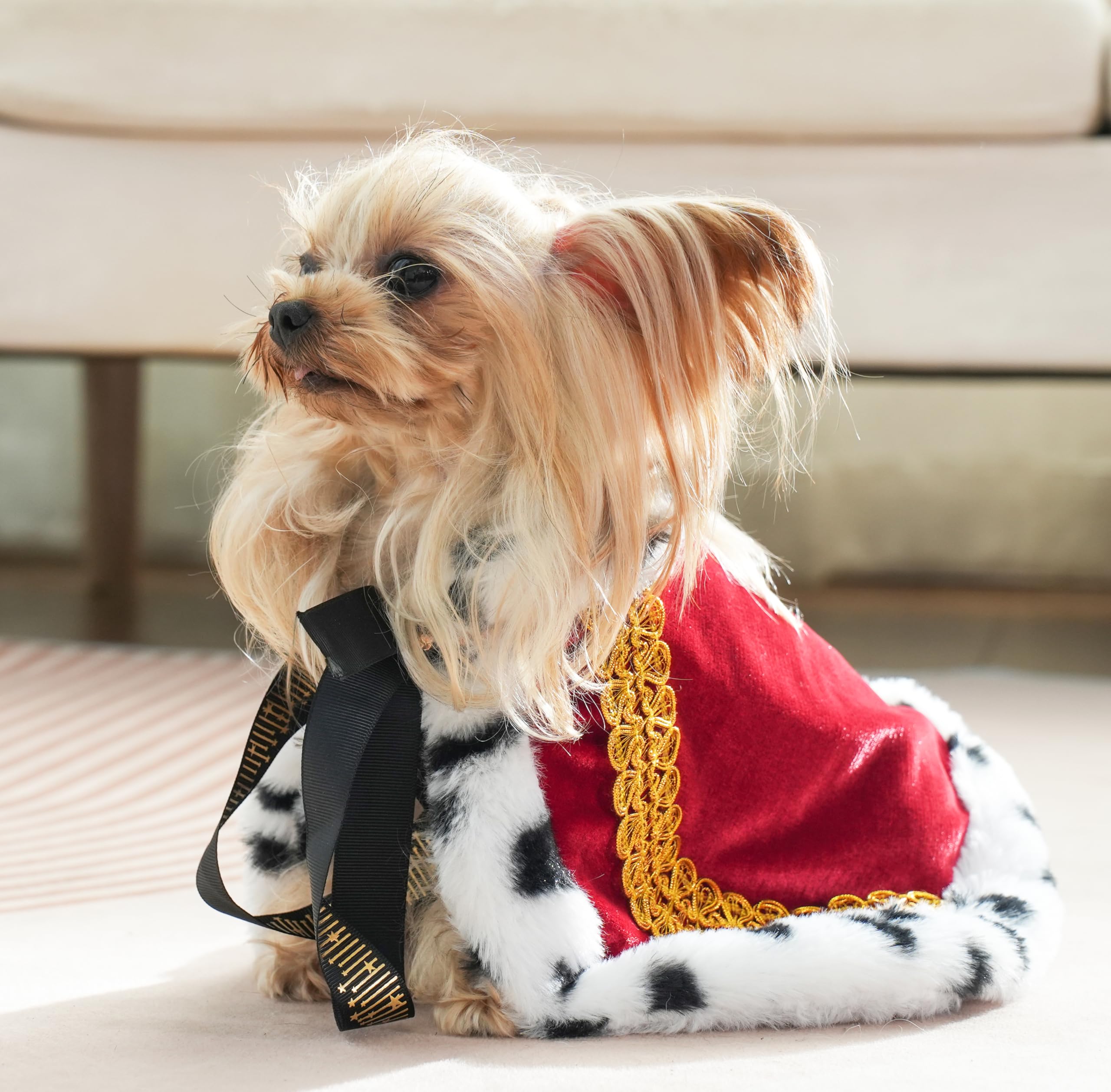 Lovelyshop Pet Serial Lux Fur Red Cat Dog Cloak For Halloween Costumes, King Queen Prince And Princess Cosplay-Xs