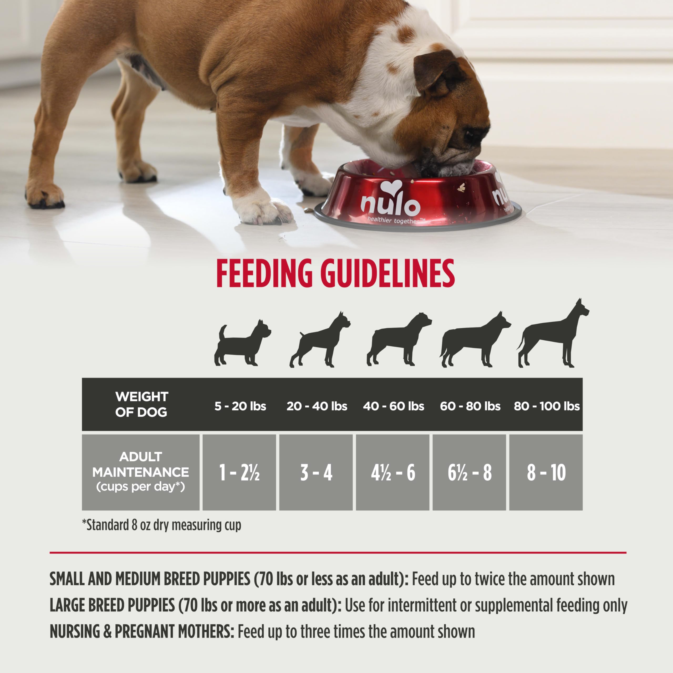 Nulo Freeze-Dried Raw Turkey & Salmon Recipe with Apples Complete and Balanced Dry Dog Food Kibble, 8 Ounce Bag