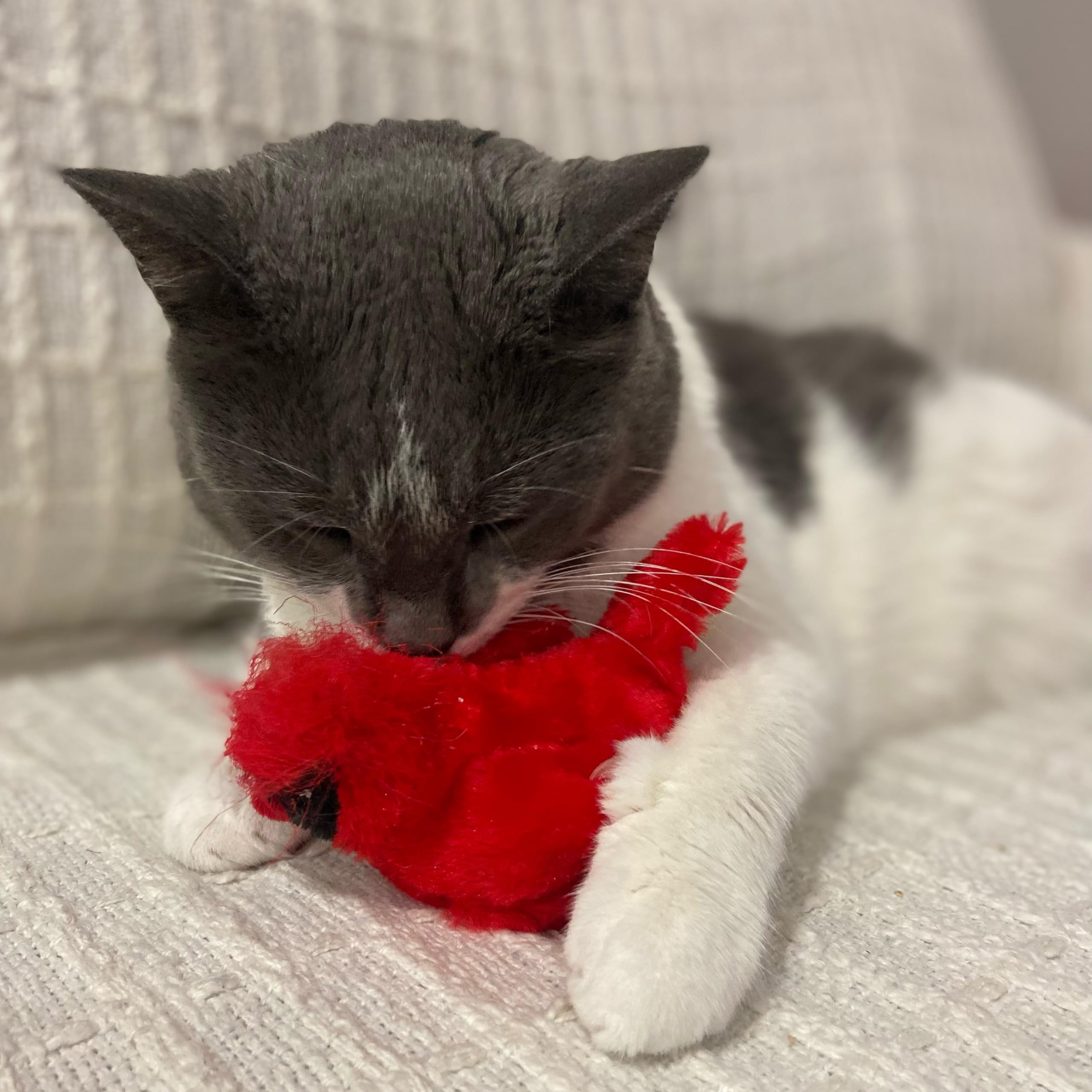 Spot Song Birds Cat Toys - Touch Activated Singing Catnip Toy Mimics Real Bird Songs, Battery Operated Toy Satisfies Cat'S Natural Urge To Hunt - One 5' Song Bird, Assorted Colors