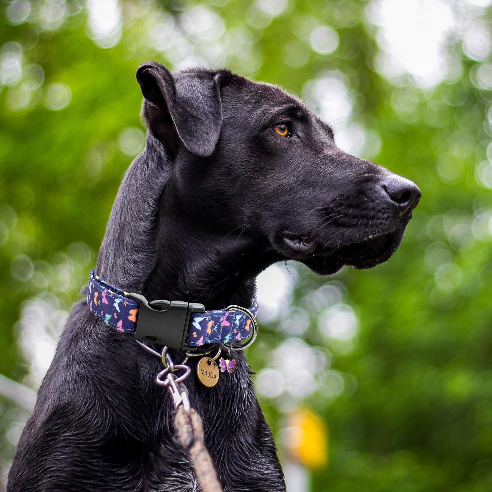 2 Pcs Cotton Dog Collar Soft Cute Flower -3 Sizes Soft Nylon Puppy Collar Adjustable For Girl Female Small Medium Large Dogs(02L