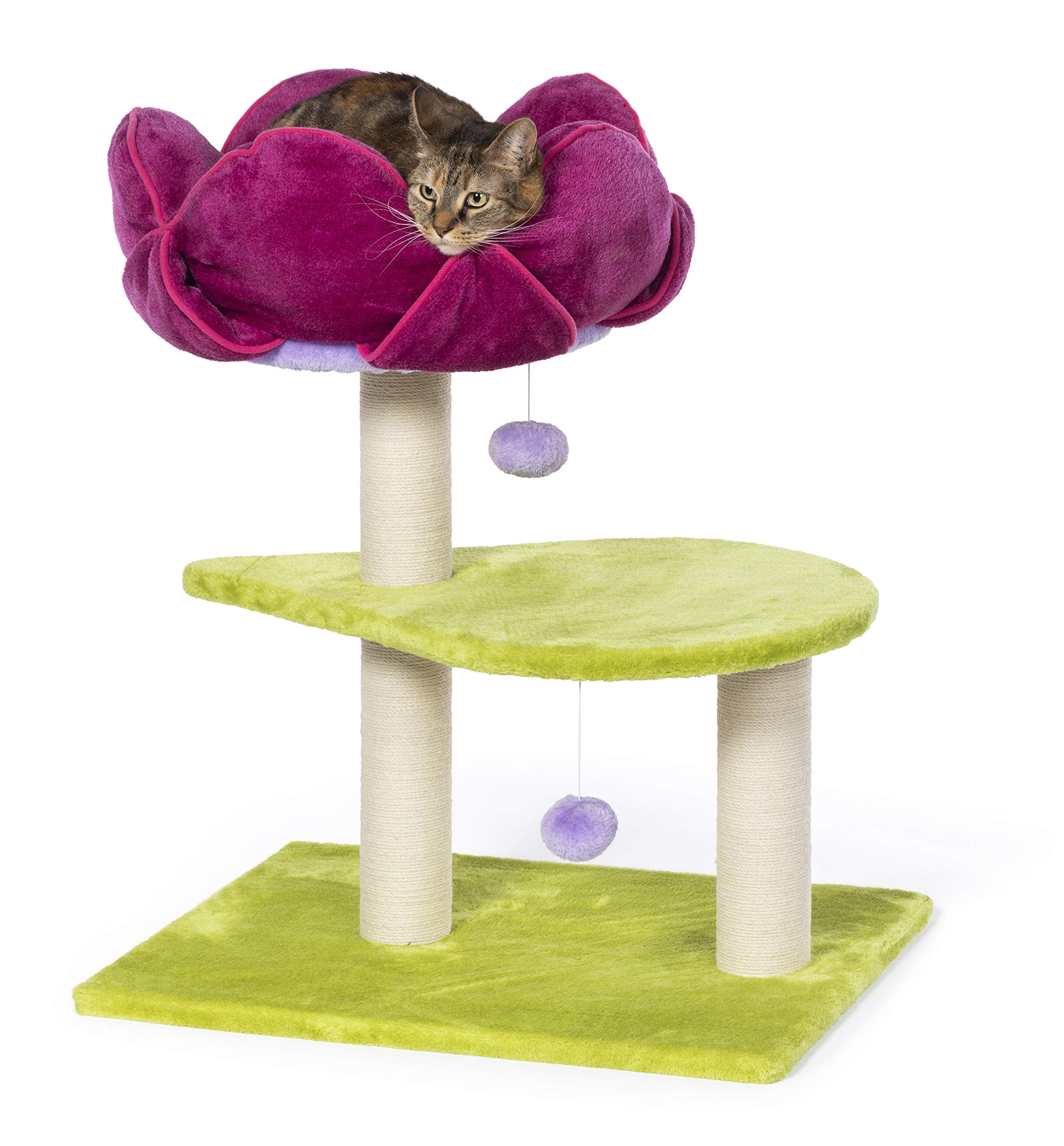 Prevue Pet Products Kitty Power Paws Flower Power Cat Activity Tree And Nap Tower