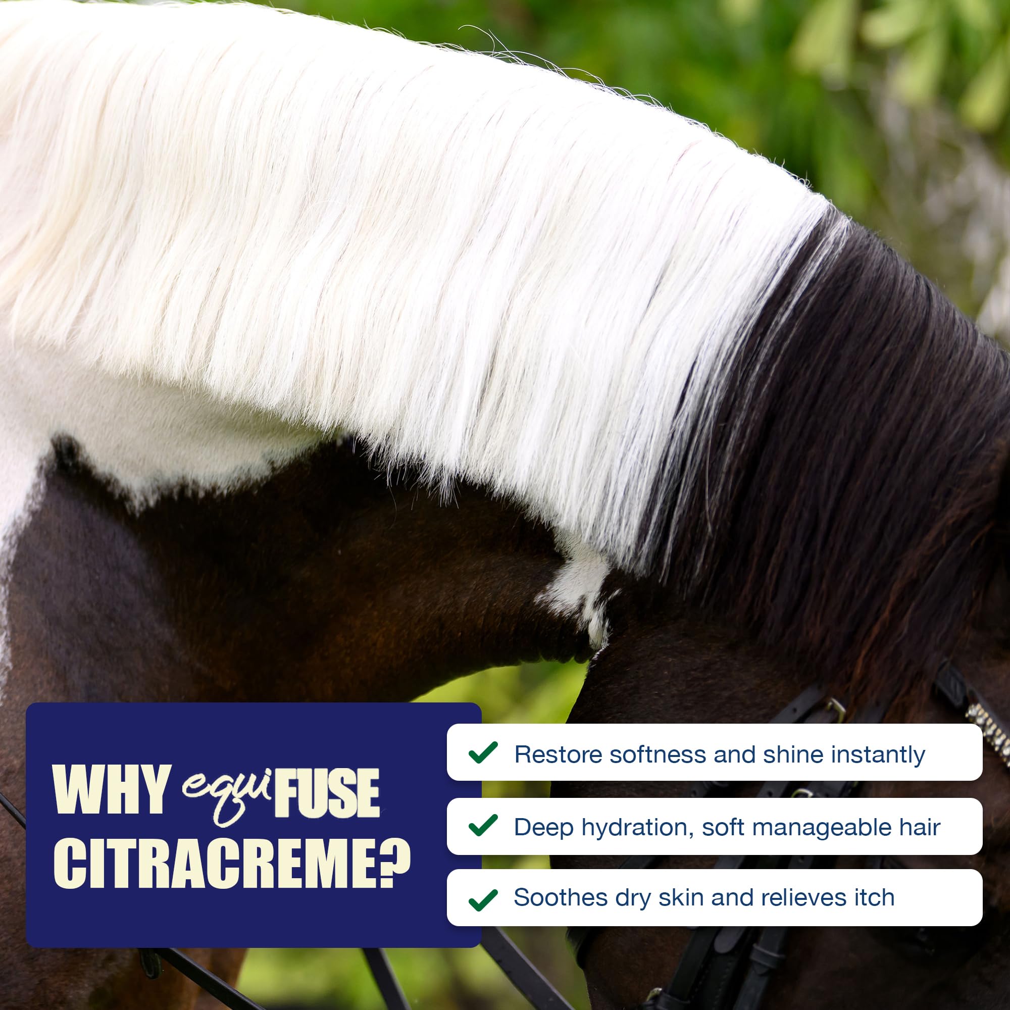 Equifuse Citracreme Deep Conditioner + Rehydrant For Horses | Improves Hair And Enhances The Look, Feel And Manageability Of Manes And Tails | 16Oz