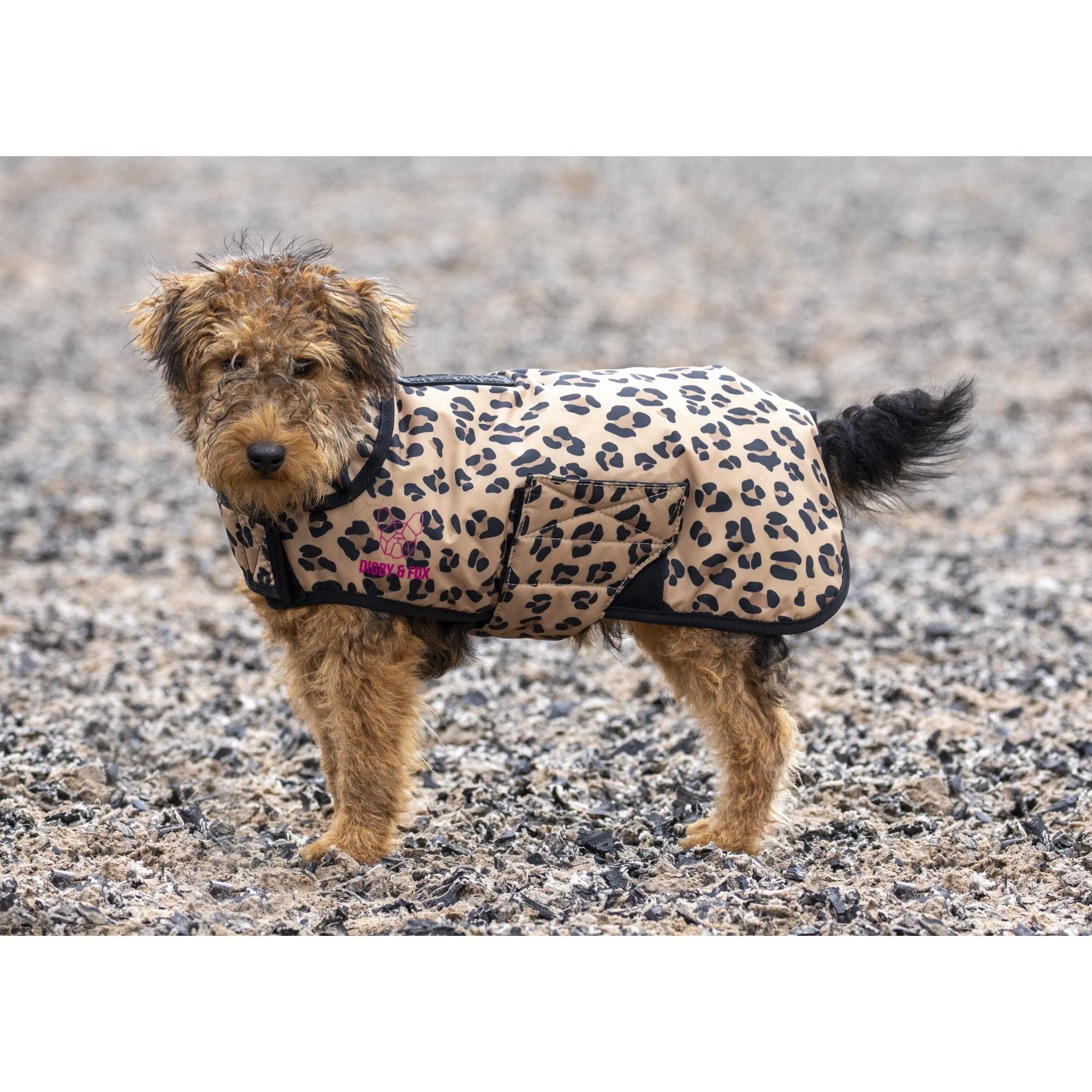 Digby & Fox Leopard Dog Coat (Medium)
