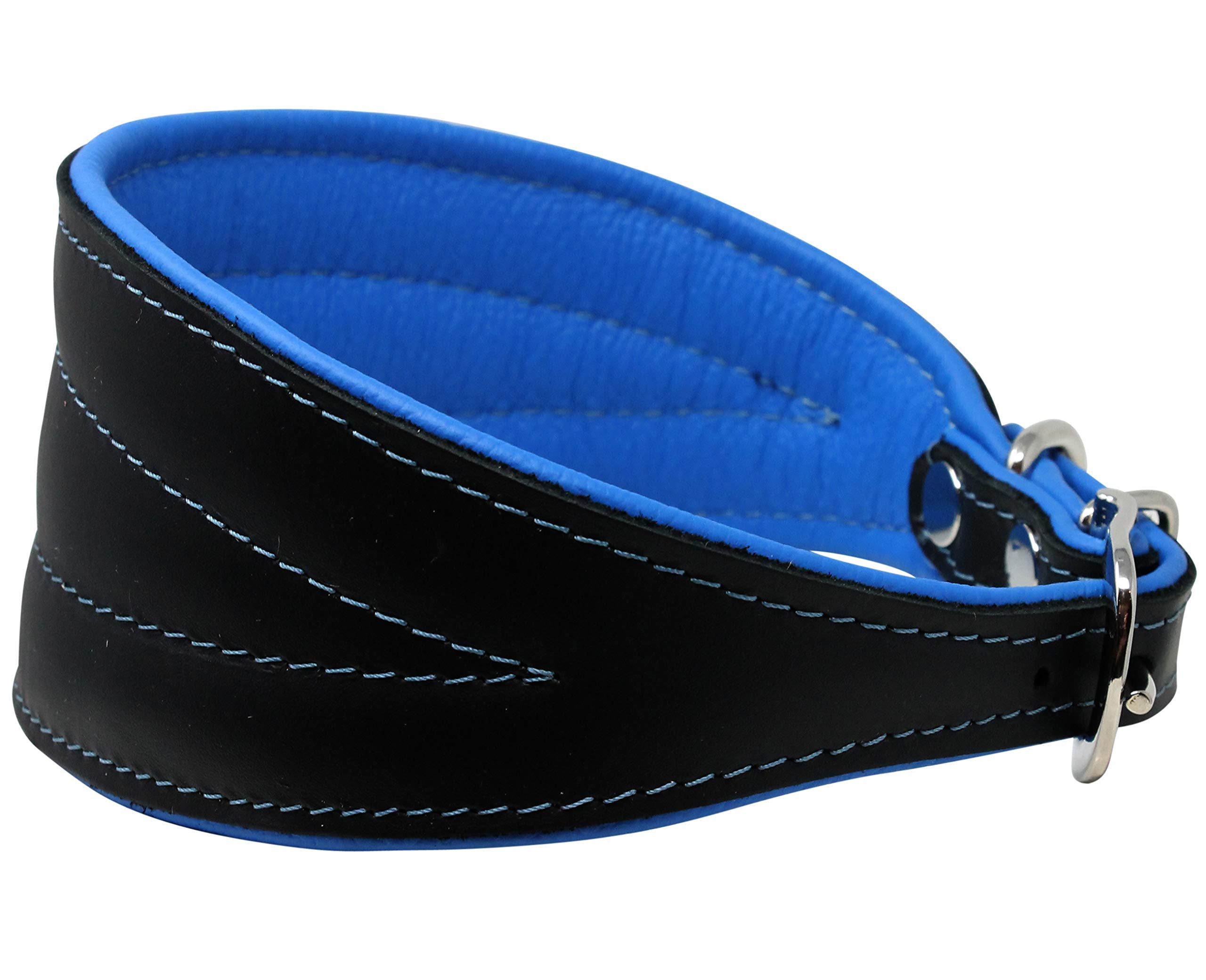 Real Leather Extra Wide Padded Tapered Dog Collar Glossy Black Greyhound Saluki Deerhound Lurcher Whippet Dachshund (16.75''-20'