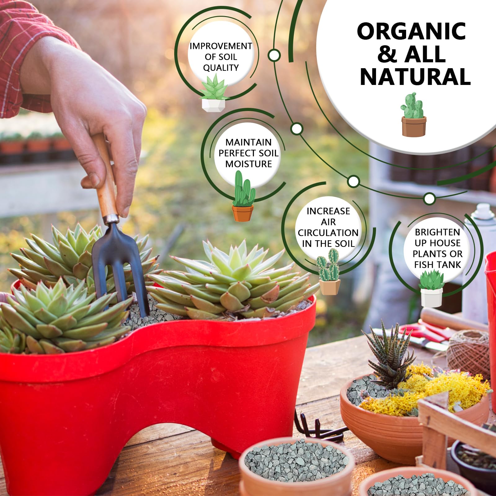 2 LBS Blue Pea Gravel, Natural Succulent and Cactus Gravel Pebbles, Pebbles for Indoor Plants, Natural Gardens Mulching, for Hou