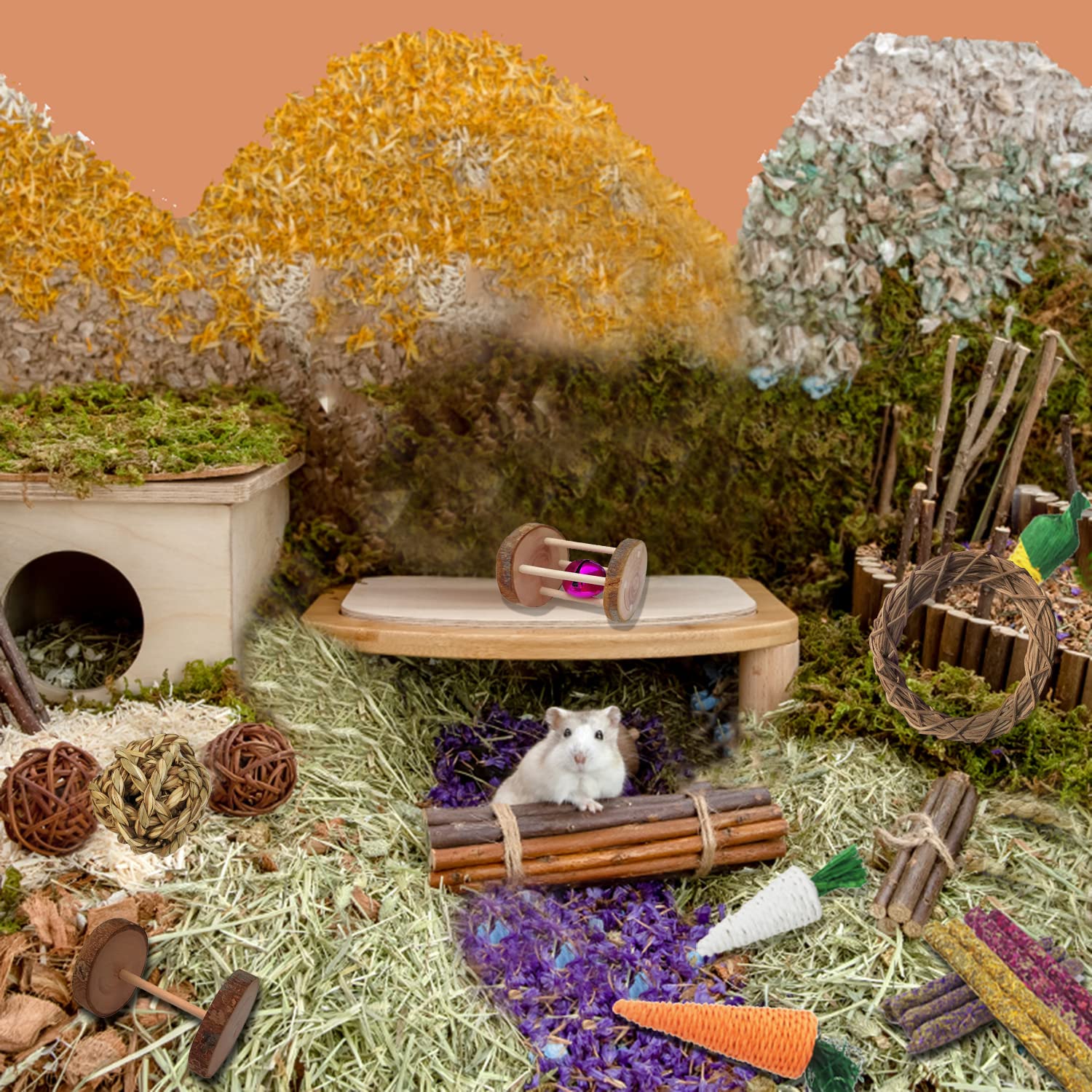 13Pcs Guinea Pigs Toys, Rabbit Toys Set Wooden Hamster Toys For Teeth Care, Best Choose For Rabbit Guinea Pig Rat Bunny Chinchillas Gerbils Chew